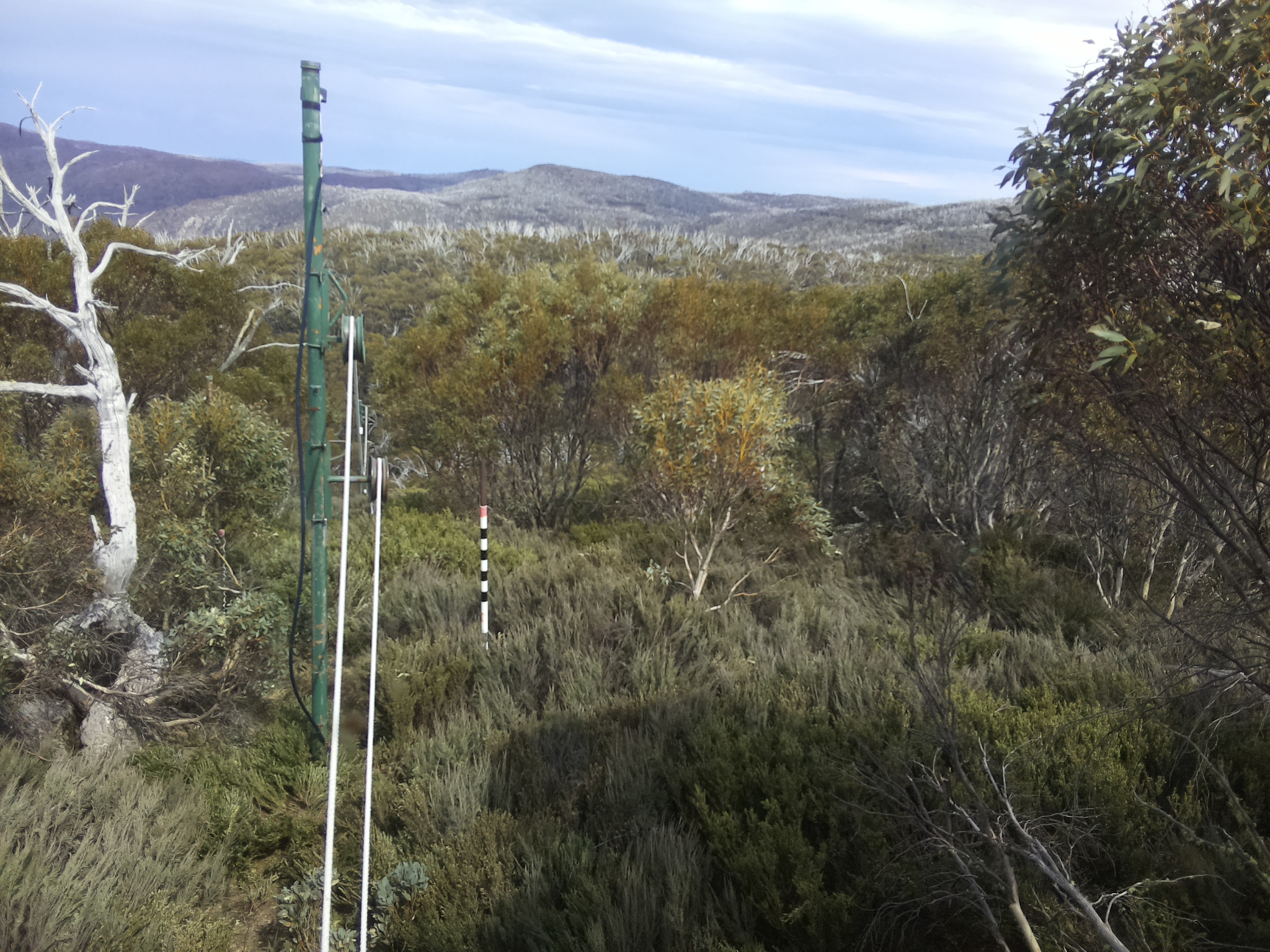 Bogong Web Cam 3:00pm Sunday 19th of October 2025