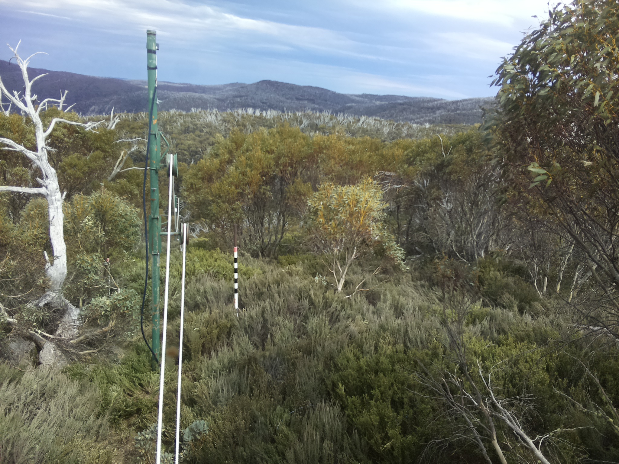 Bogong Web Cam 3:10pm Sunday 19th of October 2025