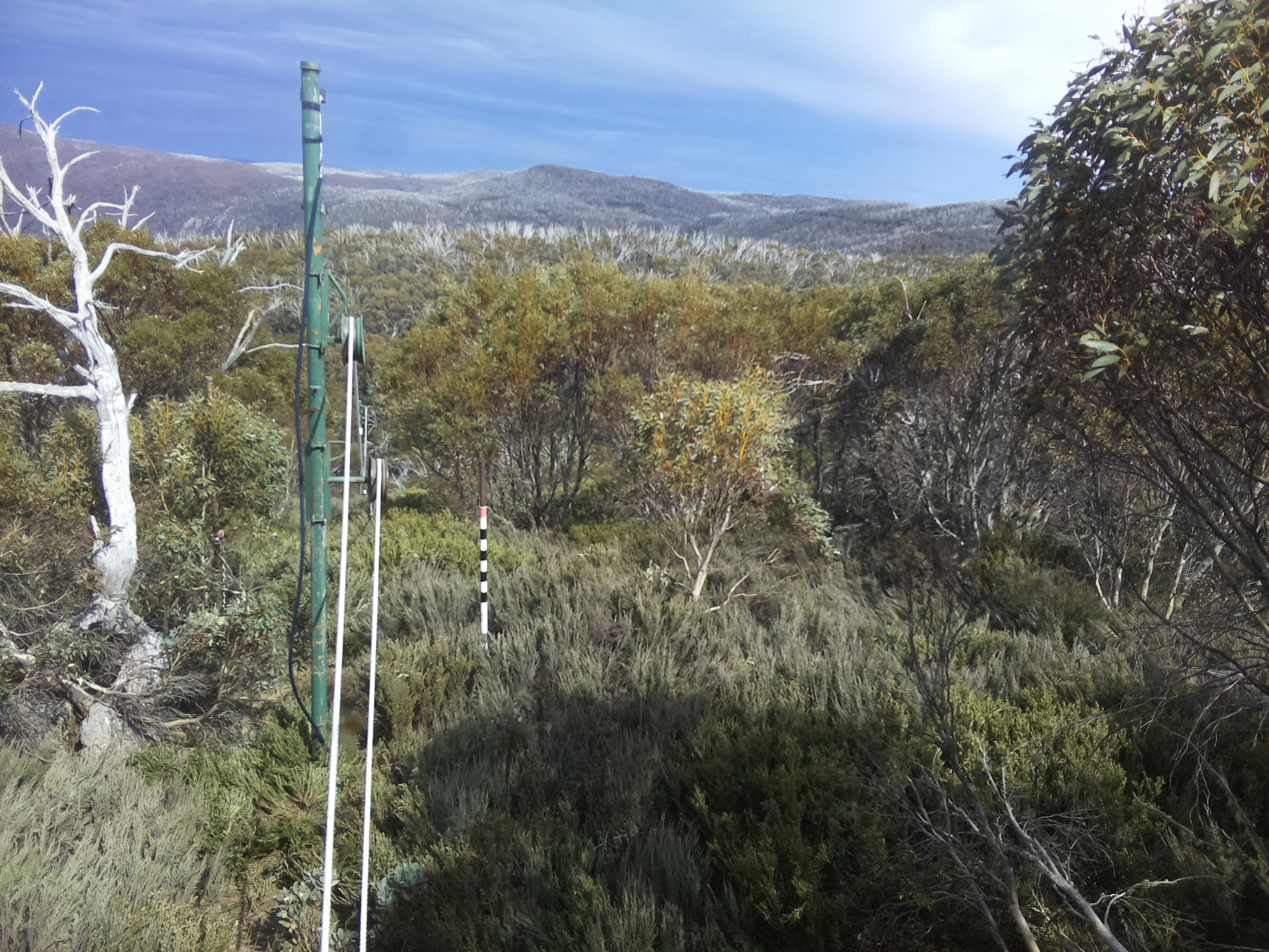 Bogong Web Cam 3:20pm Sunday 19th of October 2025