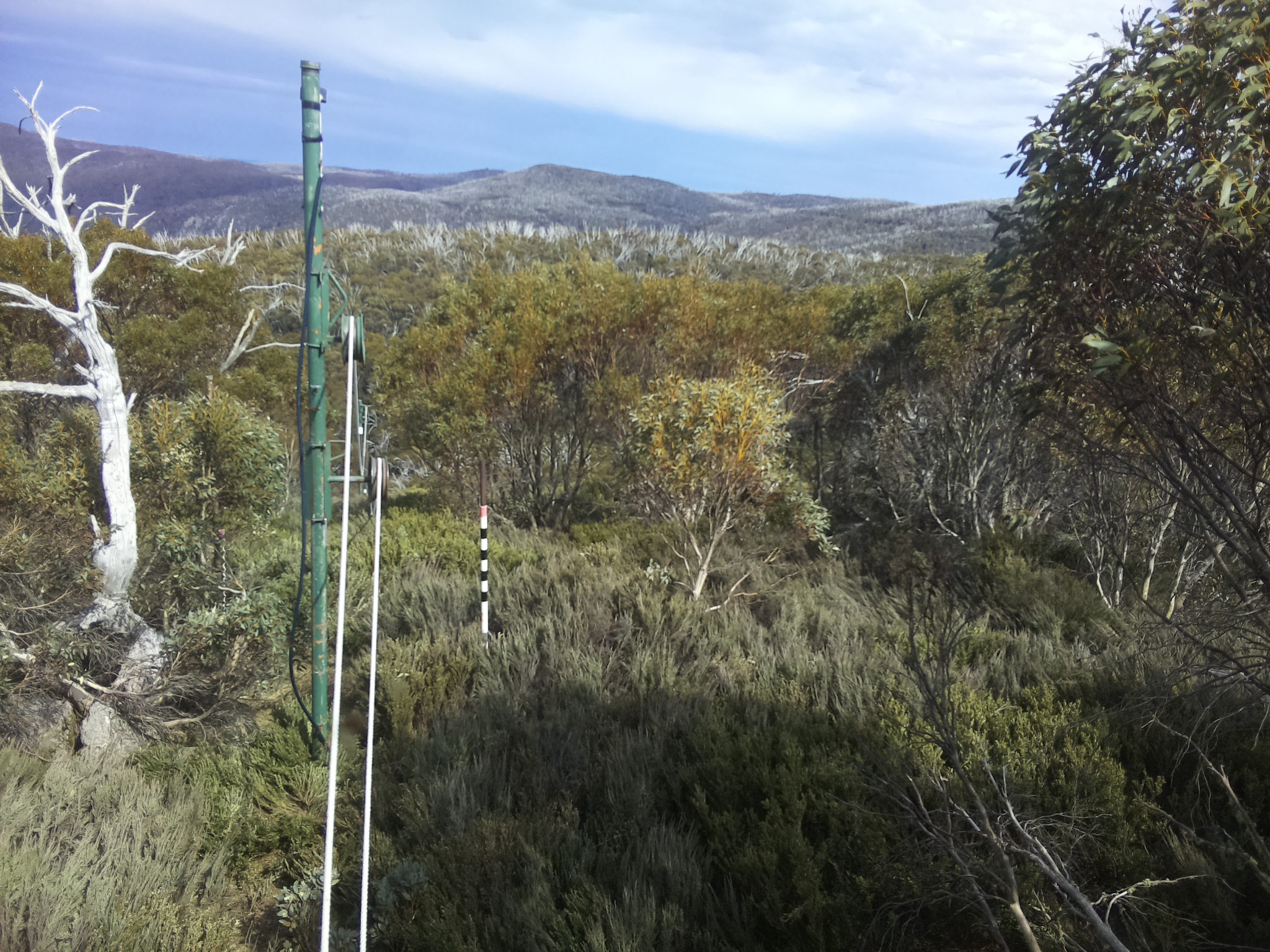 Bogong Web Cam 3:30pm Sunday 19th of October 2025