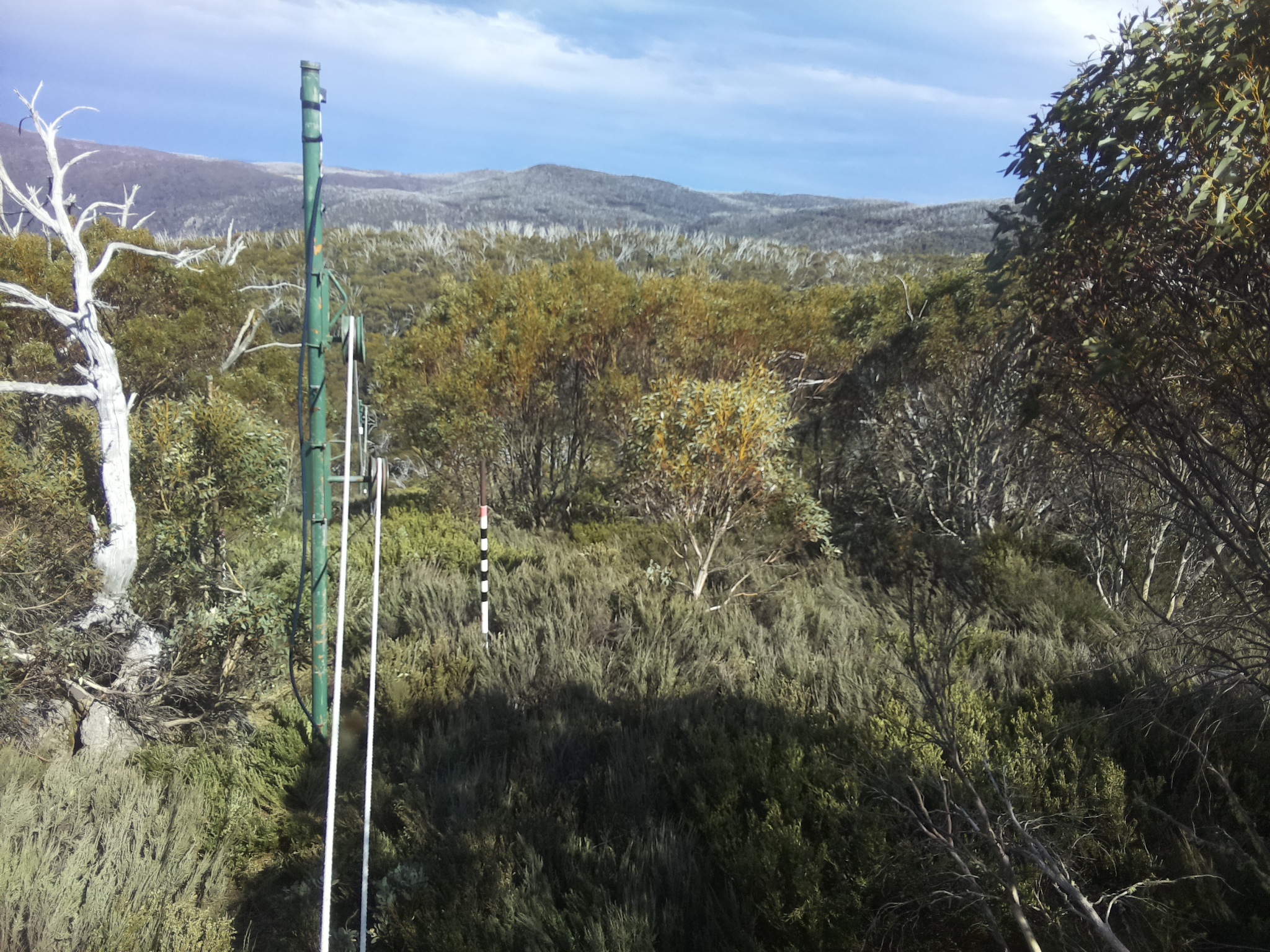 Bogong Web Cam 3:40pm Sunday 19th of October 2025
