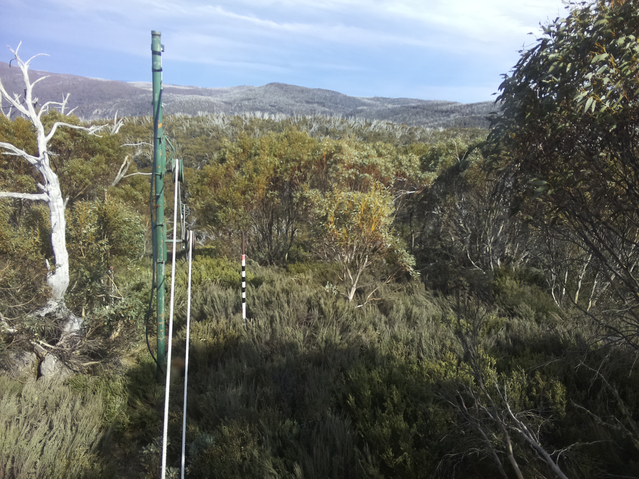 Bogong Web Cam 3:50pm Sunday 19th of October 2025
