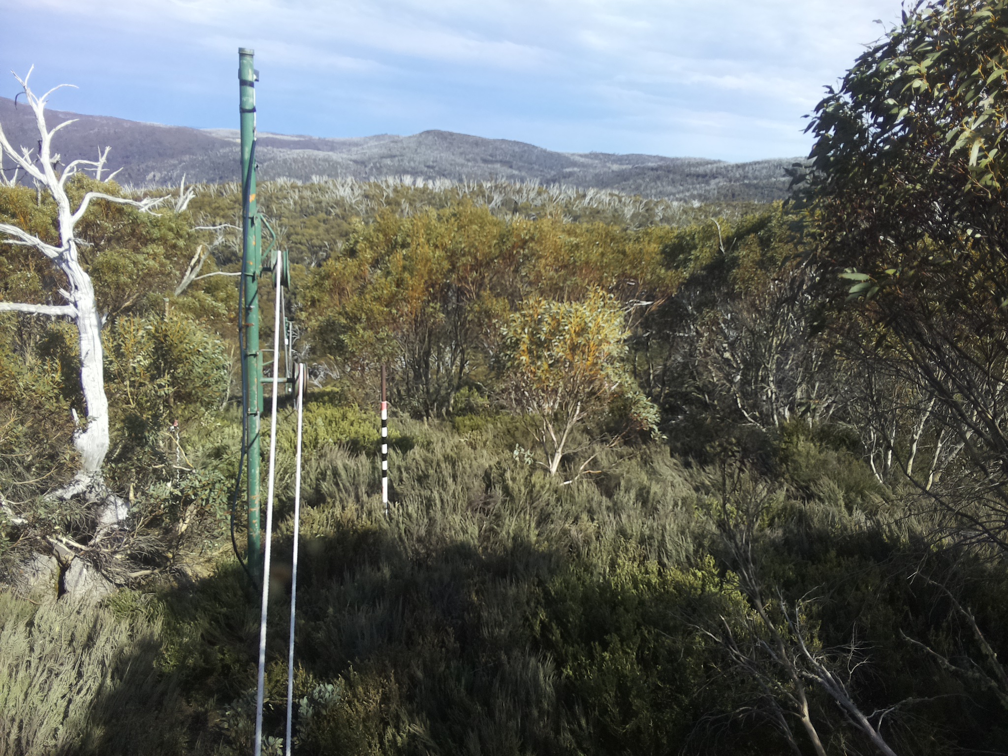 Bogong Web Cam 4:00pm Sunday 19th of October 2025