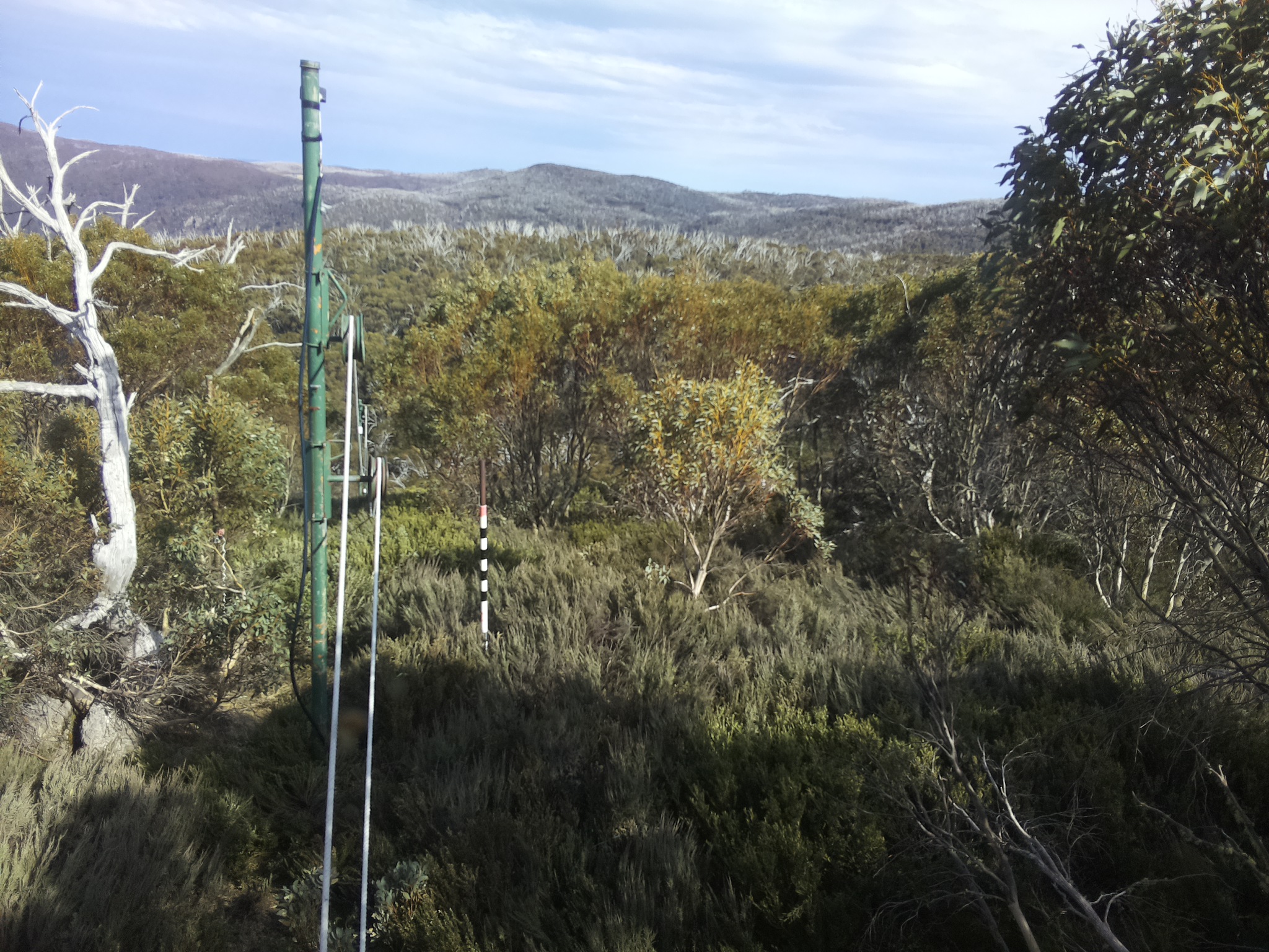 Bogong Web Cam 4:10pm Sunday 19th of October 2025