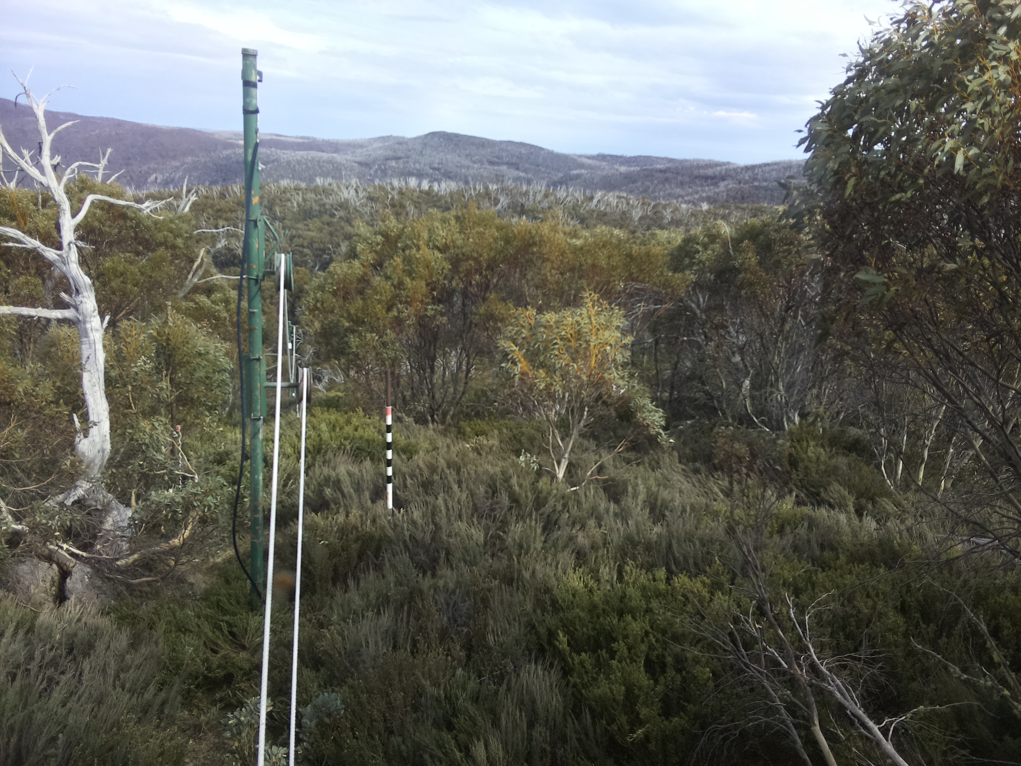 Bogong Web Cam 4:20pm Sunday 19th of October 2025