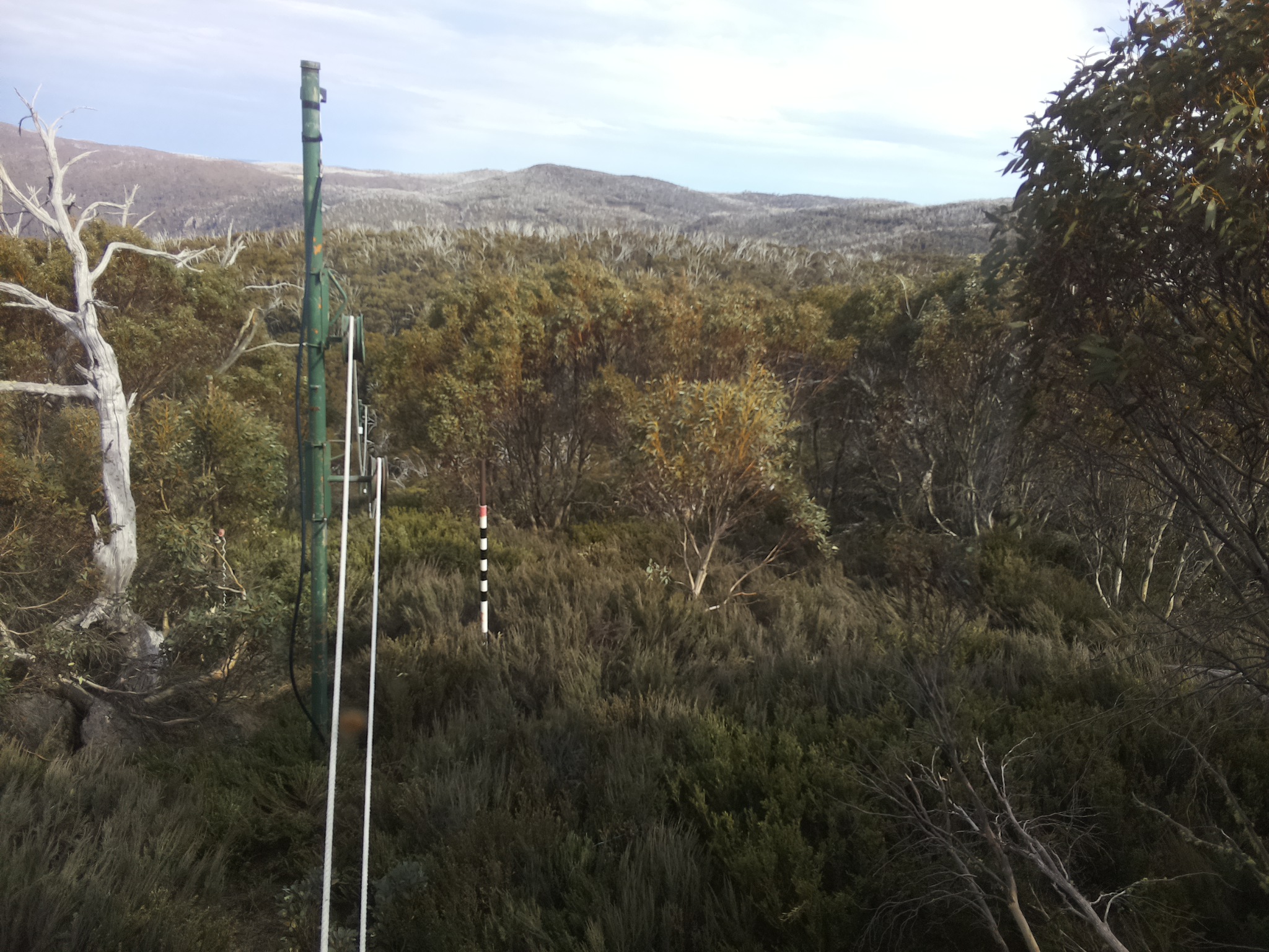 Bogong Web Cam 4:30pm Sunday 19th of October 2025