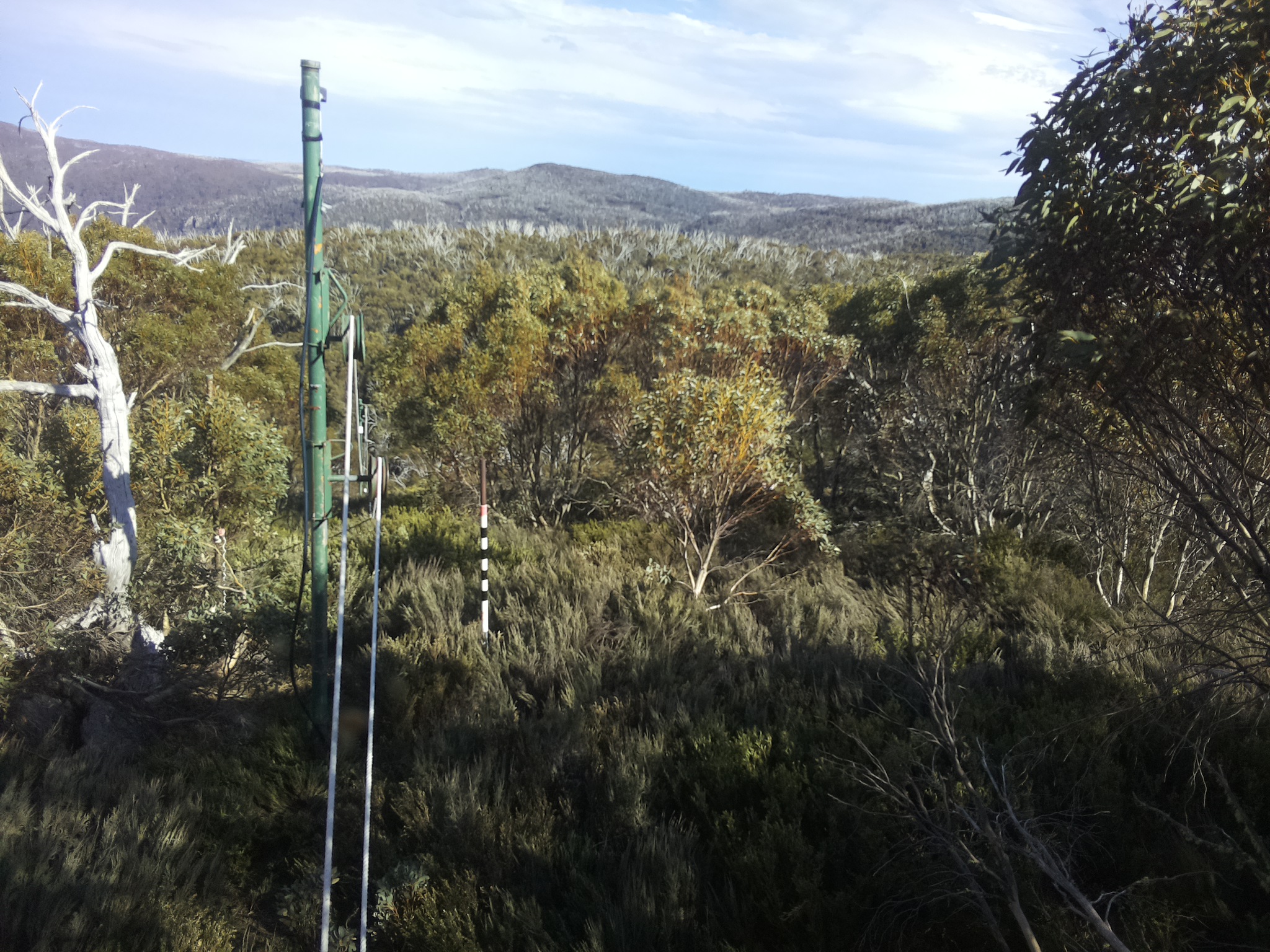 Bogong Web Cam 4:40pm Sunday 19th of October 2025