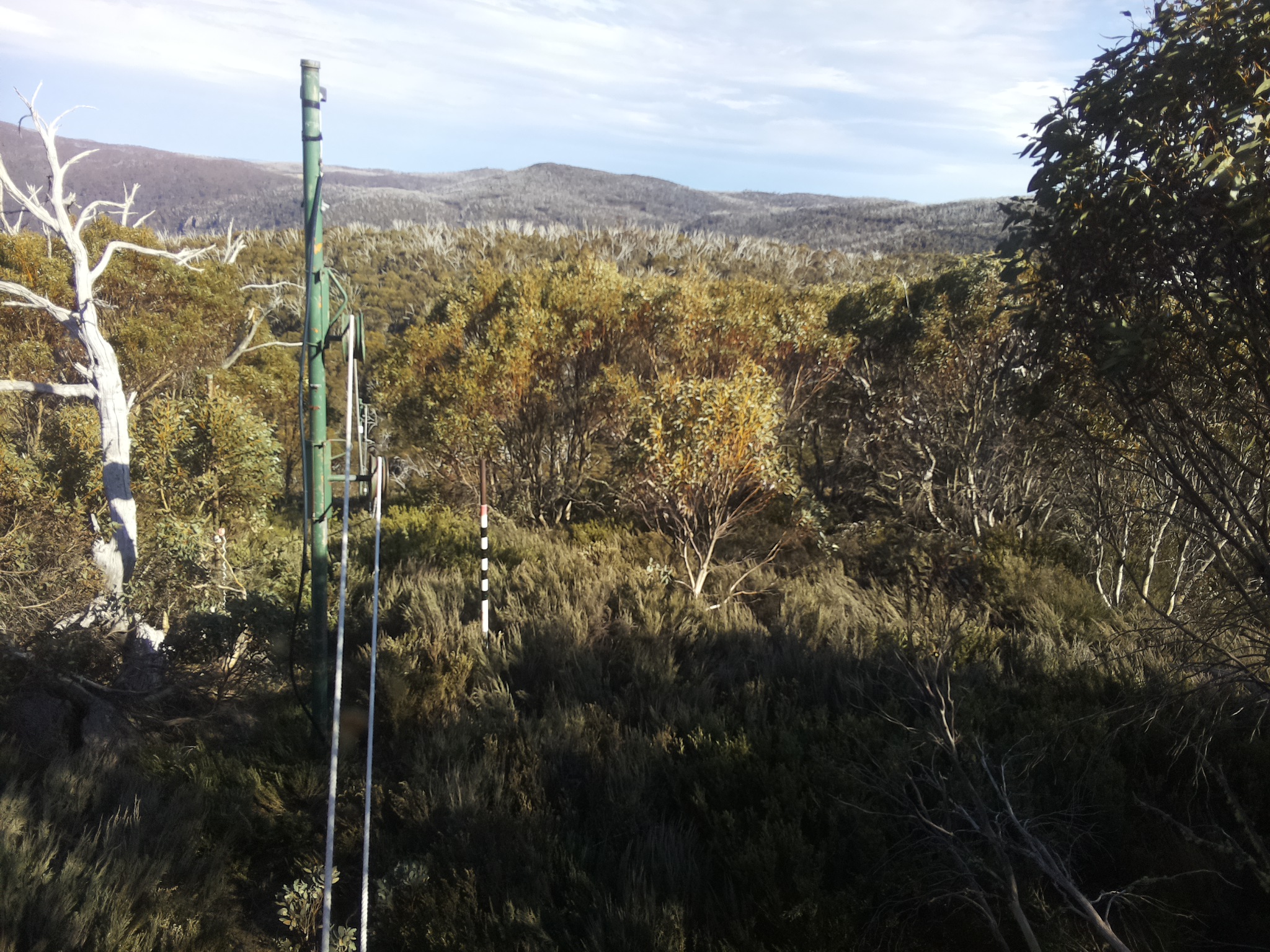 Bogong Web Cam 4:50pm Sunday 19th of October 2025