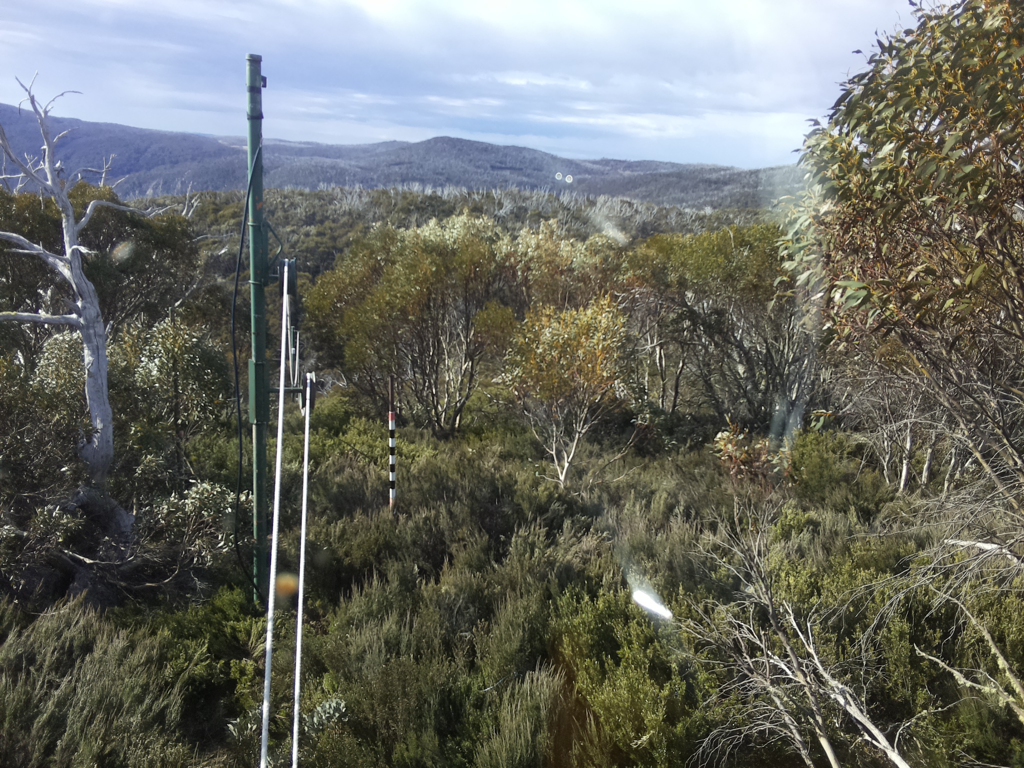 Bogong Web Cam 9:00am Monday 20th of October 2025