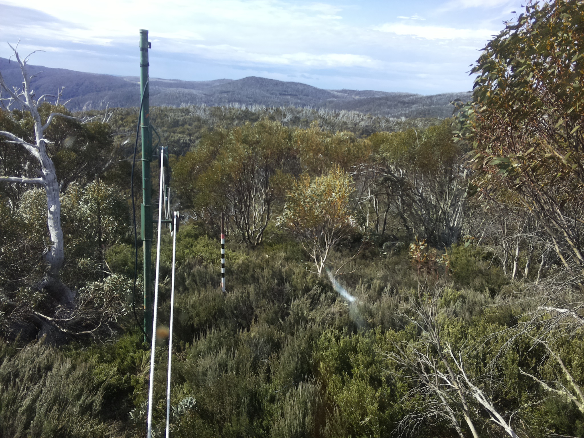 Bogong Web Cam 9:30am Monday 20th of October 2025