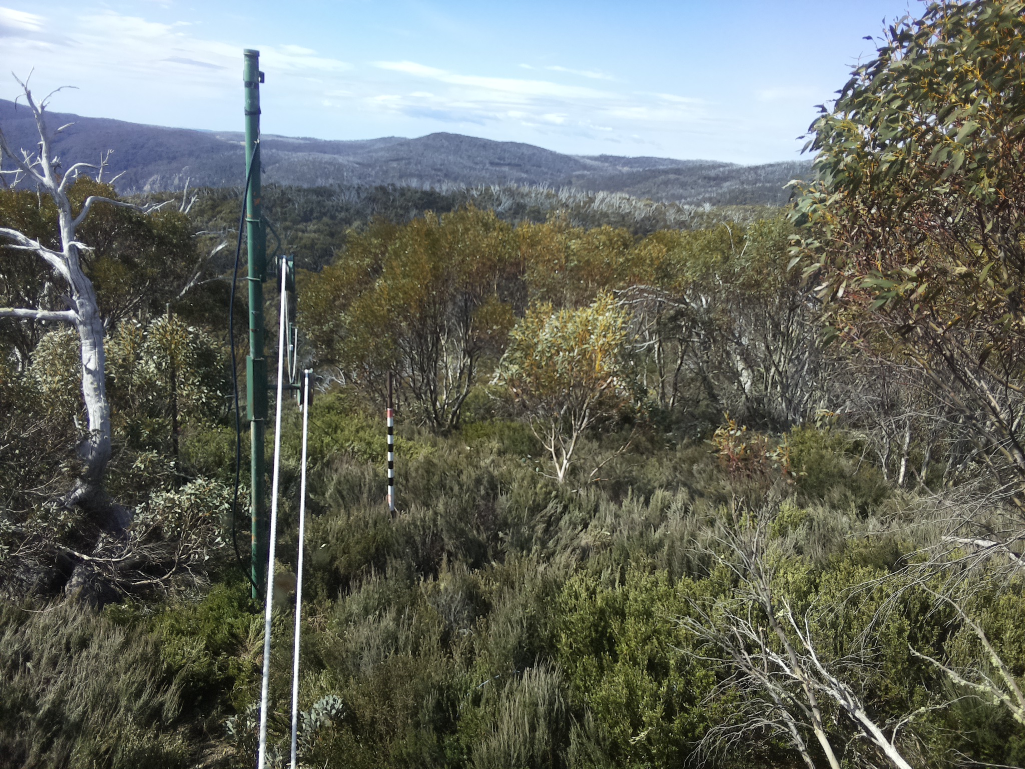 Bogong Web Cam 10:20am Monday 20th of October 2025