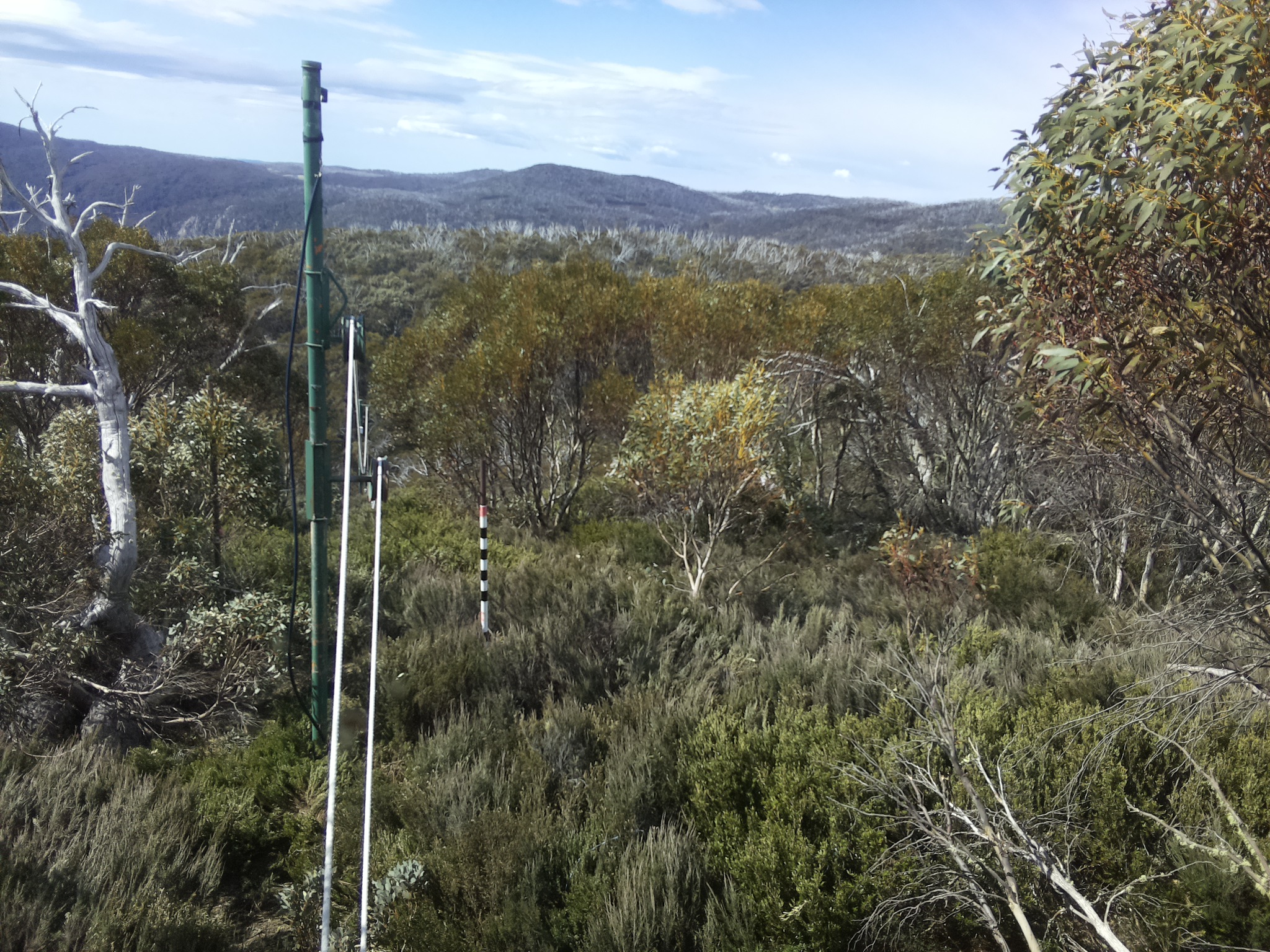 Bogong Web Cam 10:30am Monday 20th of October 2025