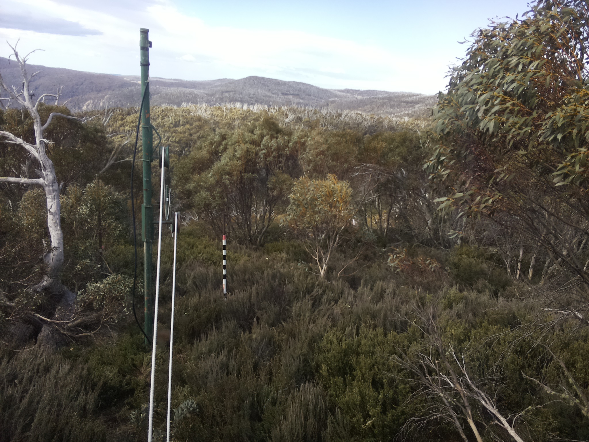 Bogong Web Cam 10:40am Monday 20th of October 2025