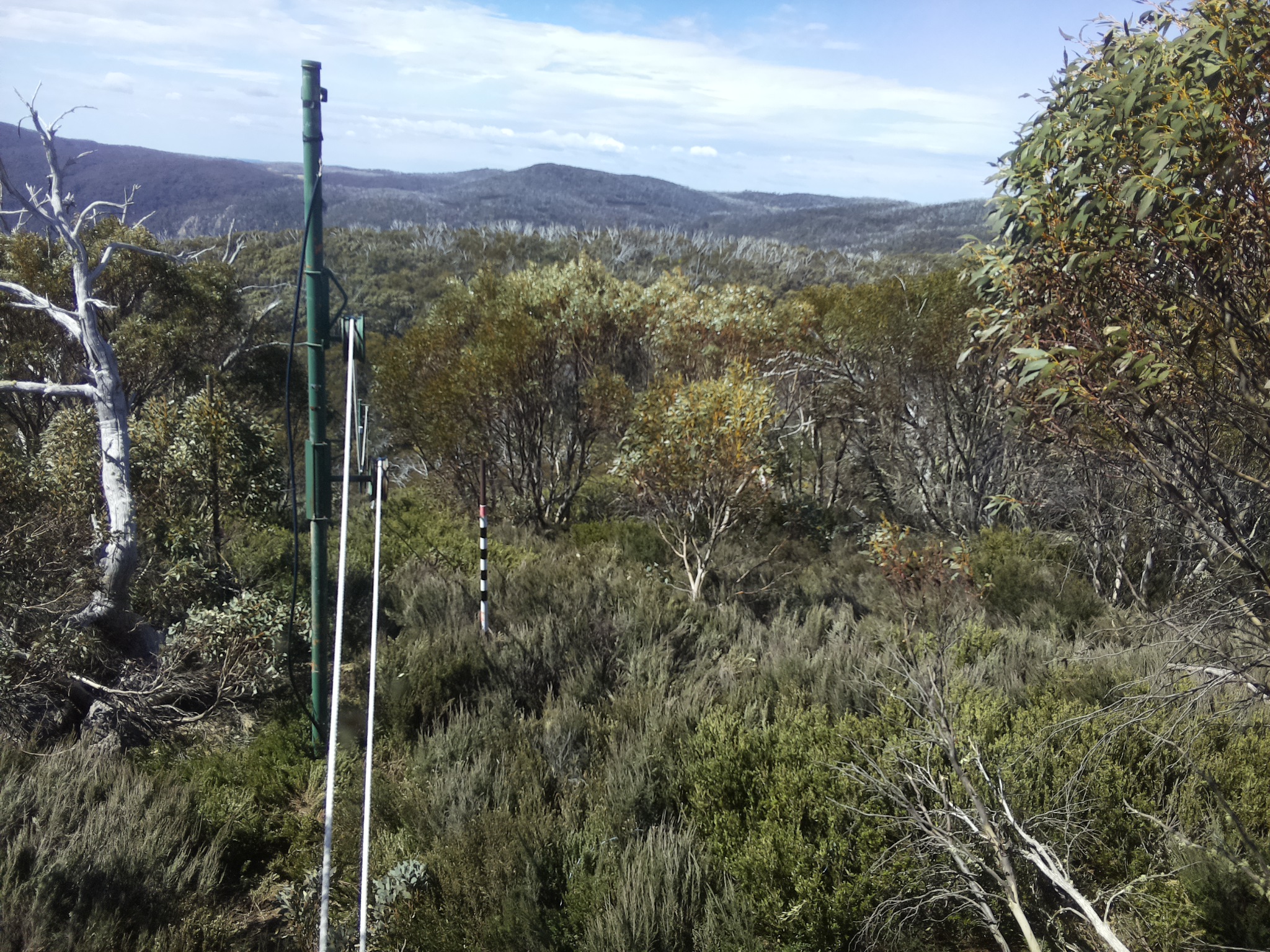 Bogong Web Cam 11:10am Monday 20th of October 2025