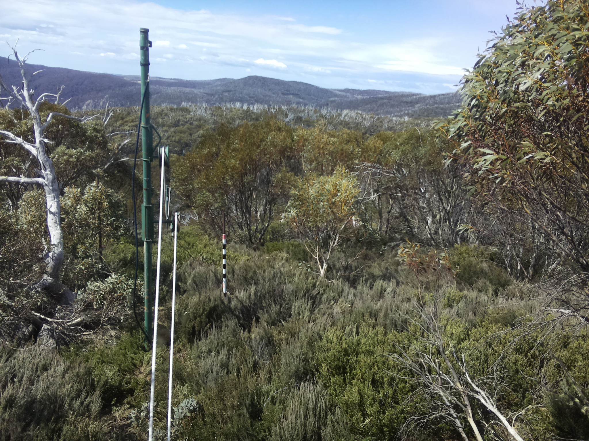 Bogong Web Cam 11:20am Monday 20th of October 2025
