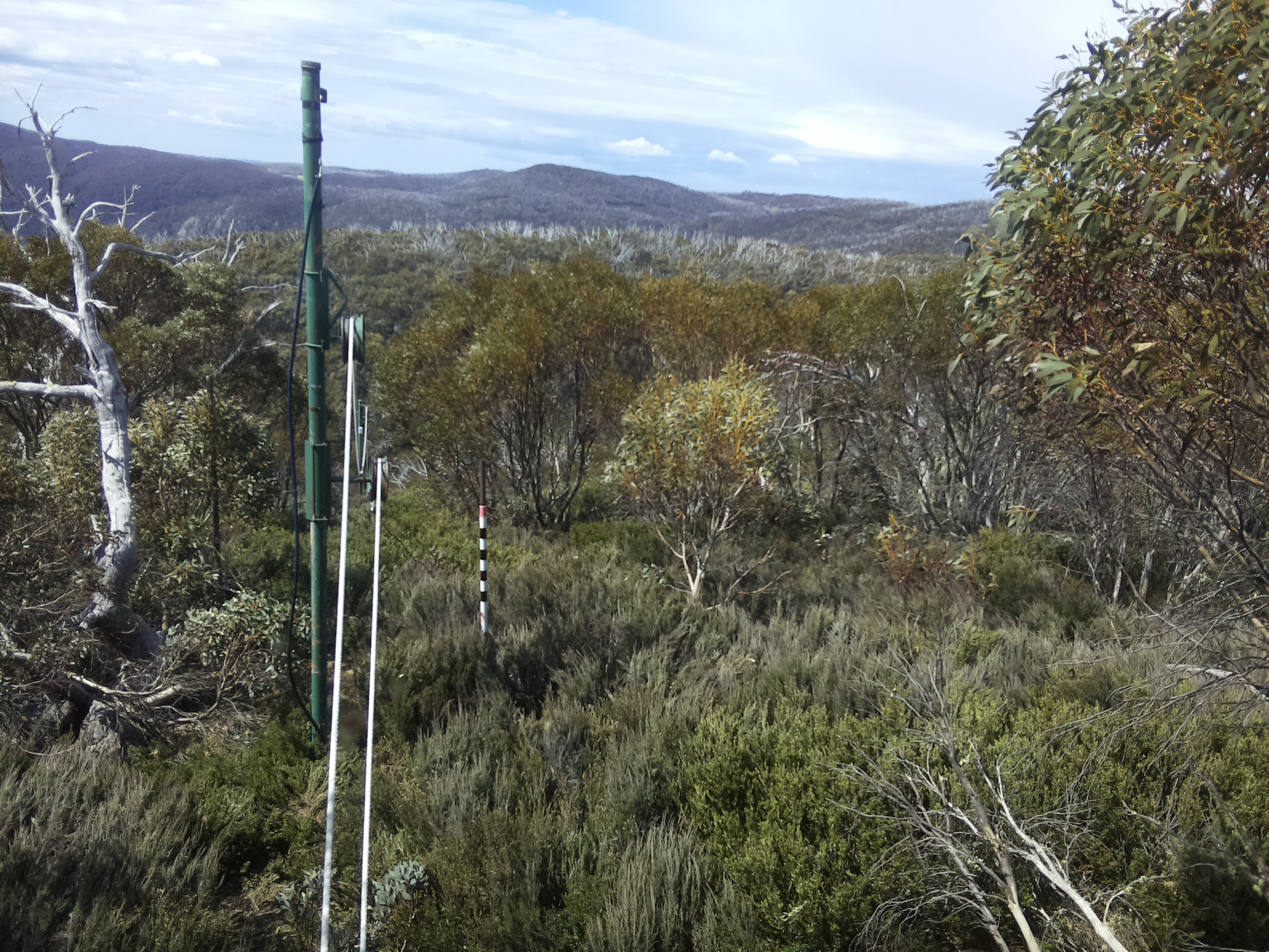 Bogong Web Cam 11:30am Monday 20th of October 2025