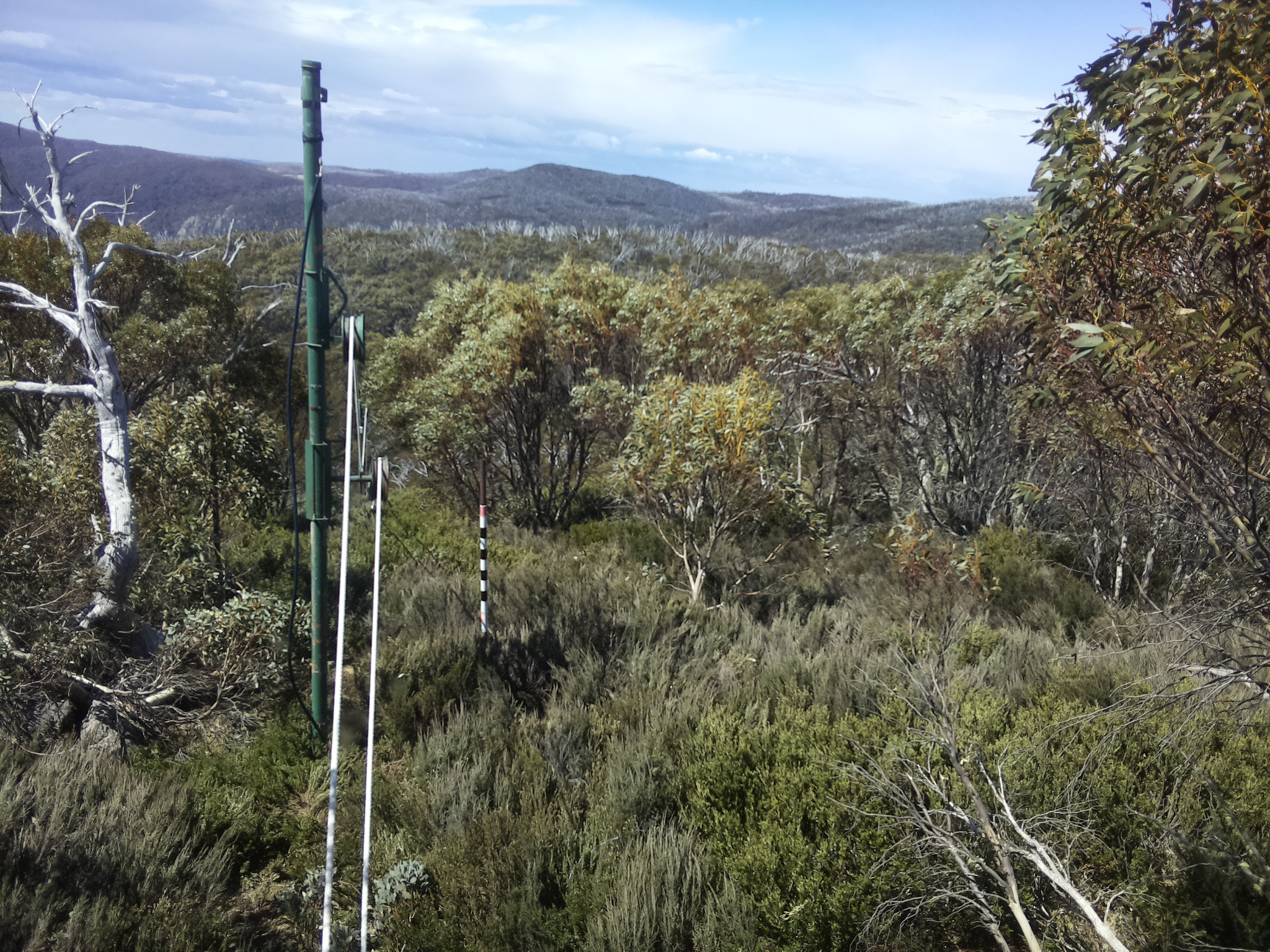 Bogong Web Cam 11:40am Monday 20th of October 2025