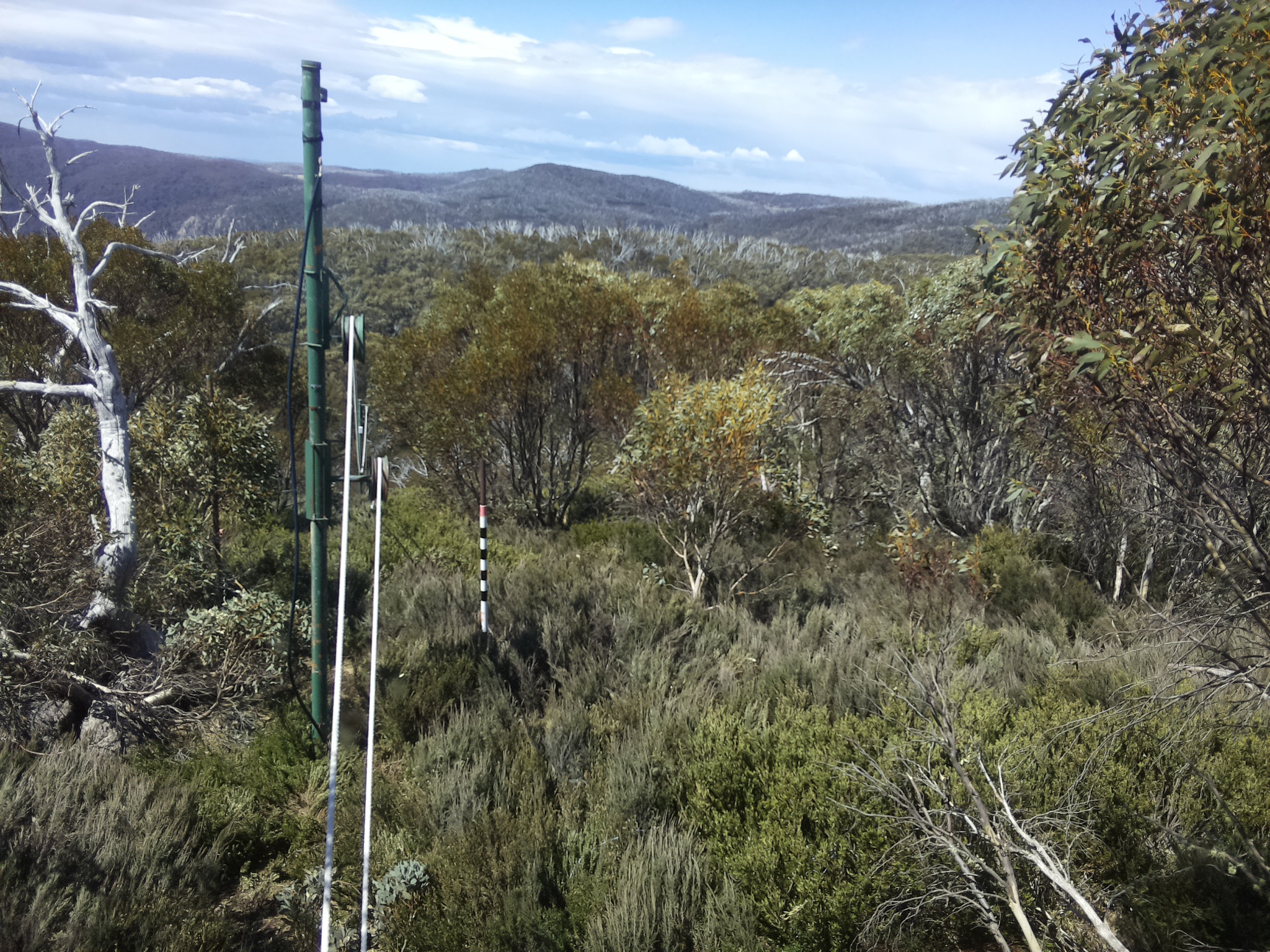 Bogong Web Cam 11:50am Monday 20th of October 2025