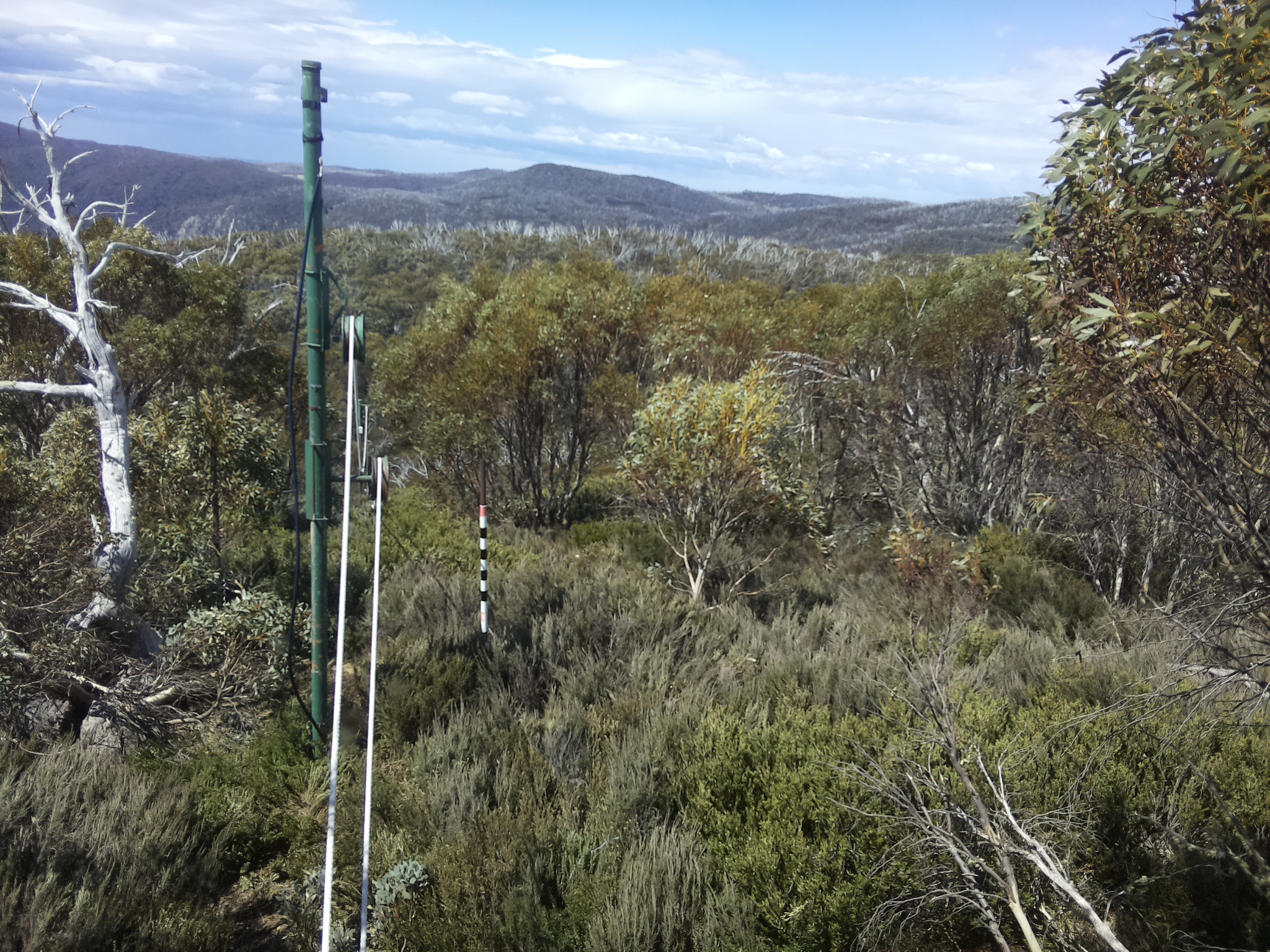 Bogong Web Cam 12:00pm Monday 20th of October 2025