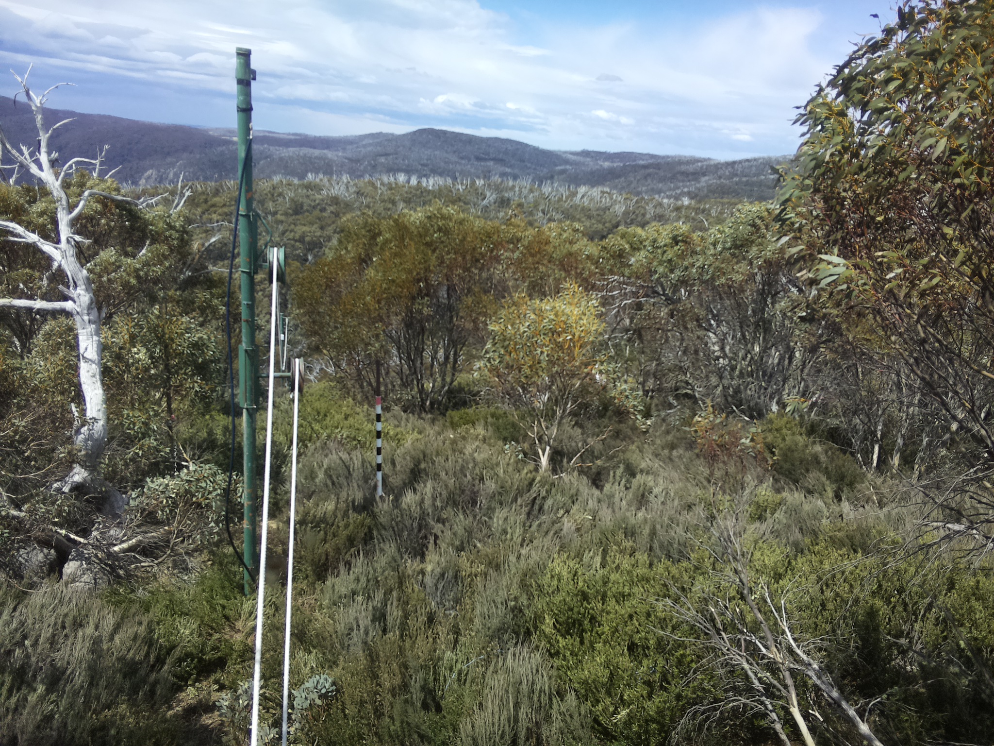 Bogong Web Cam 12:10pm Monday 20th of October 2025