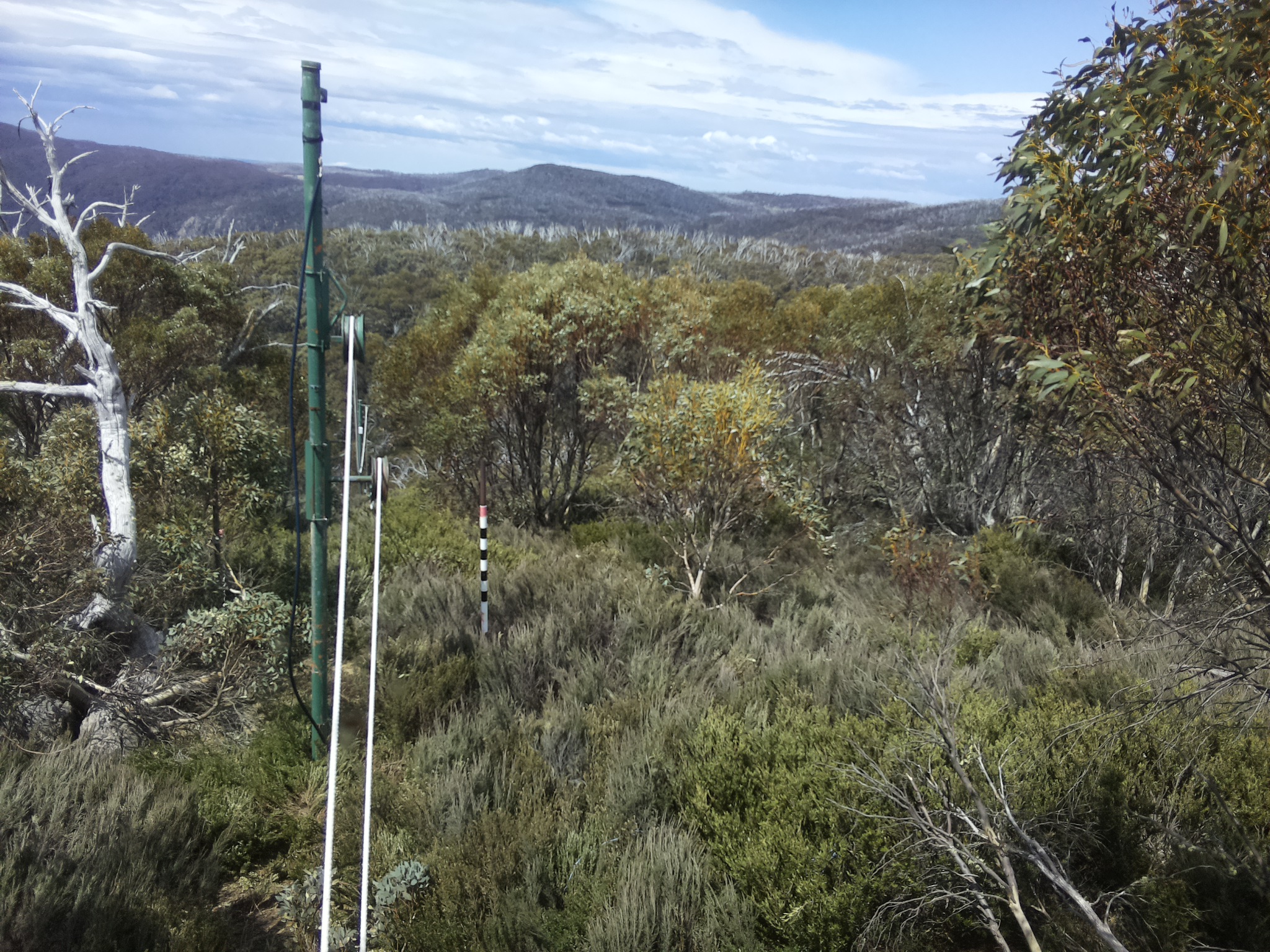 Bogong Web Cam 12:20pm Monday 20th of October 2025