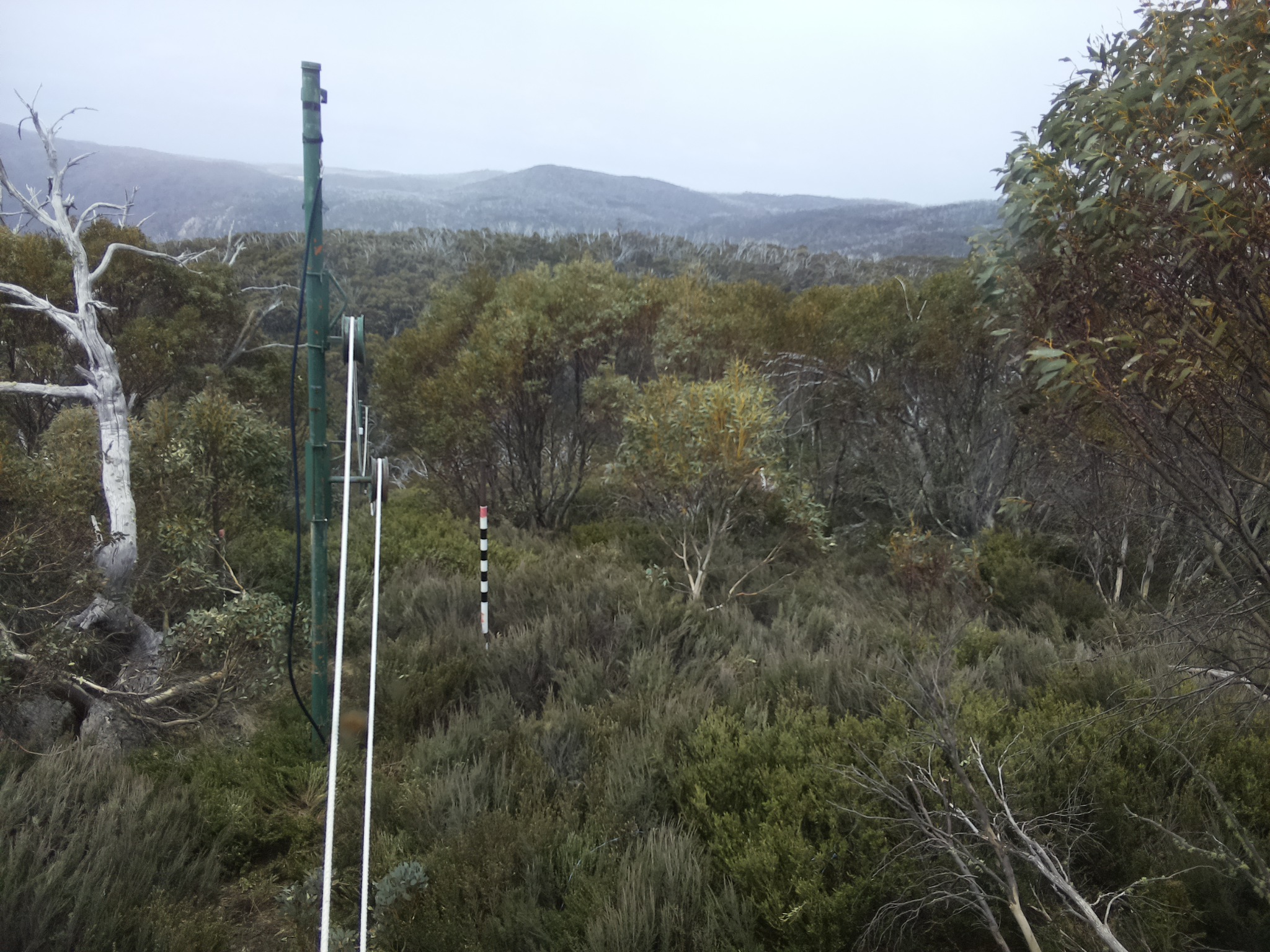 Bogong Web Cam 12:30pm Monday 20th of October 2025