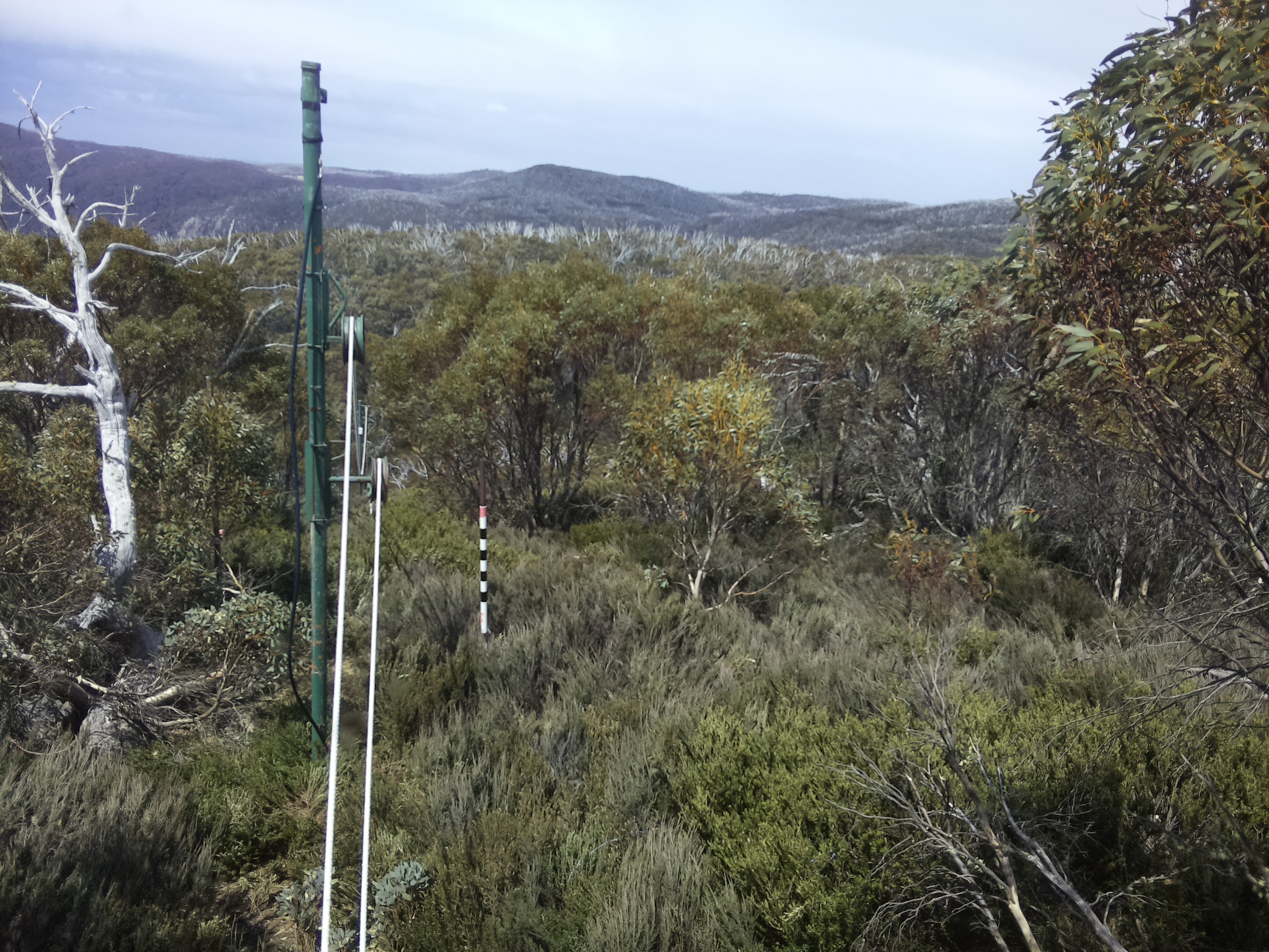 Bogong Web Cam 12:40pm Monday 20th of October 2025
