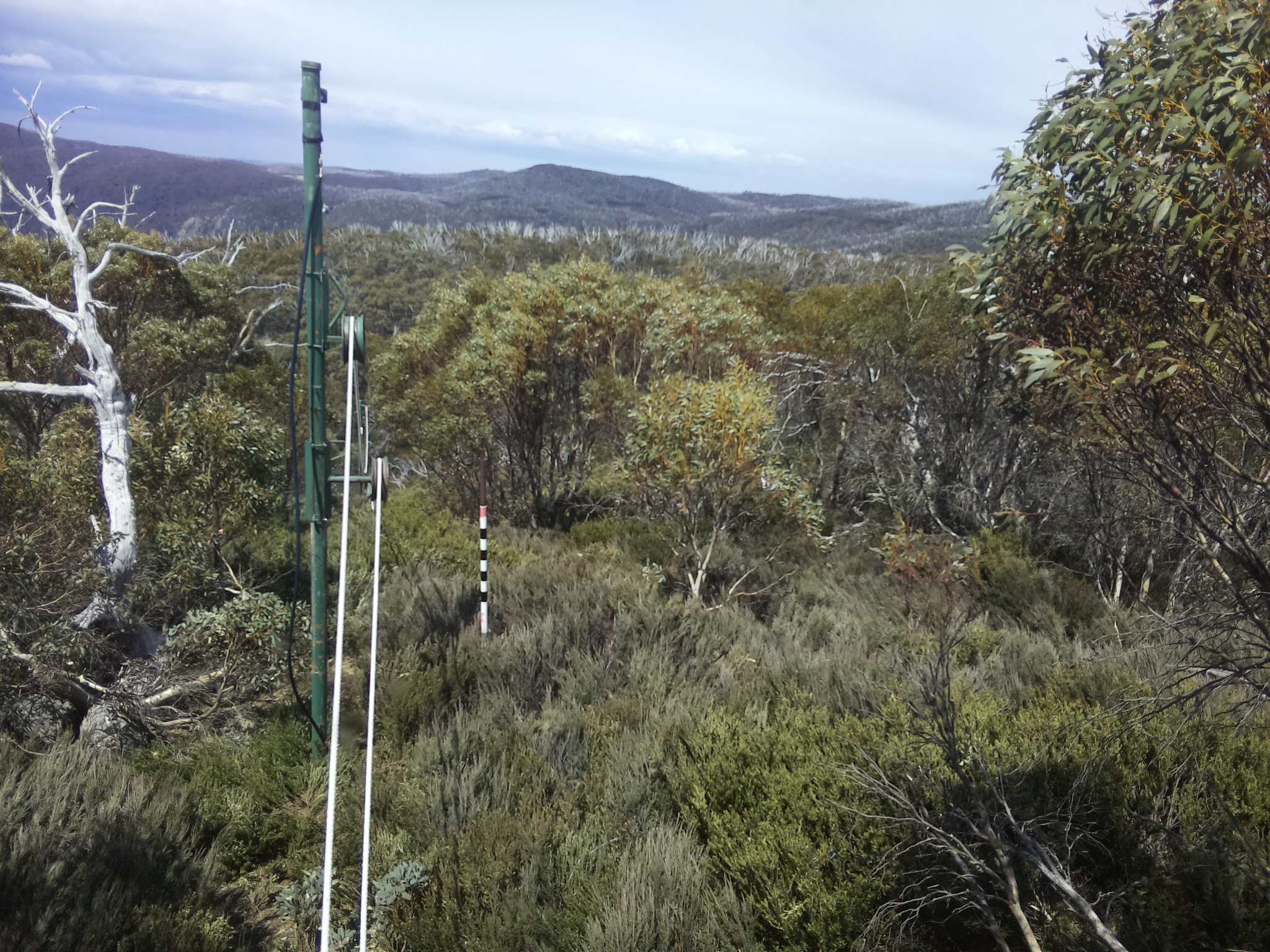 Bogong Web Cam 12:50pm Monday 20th of October 2025