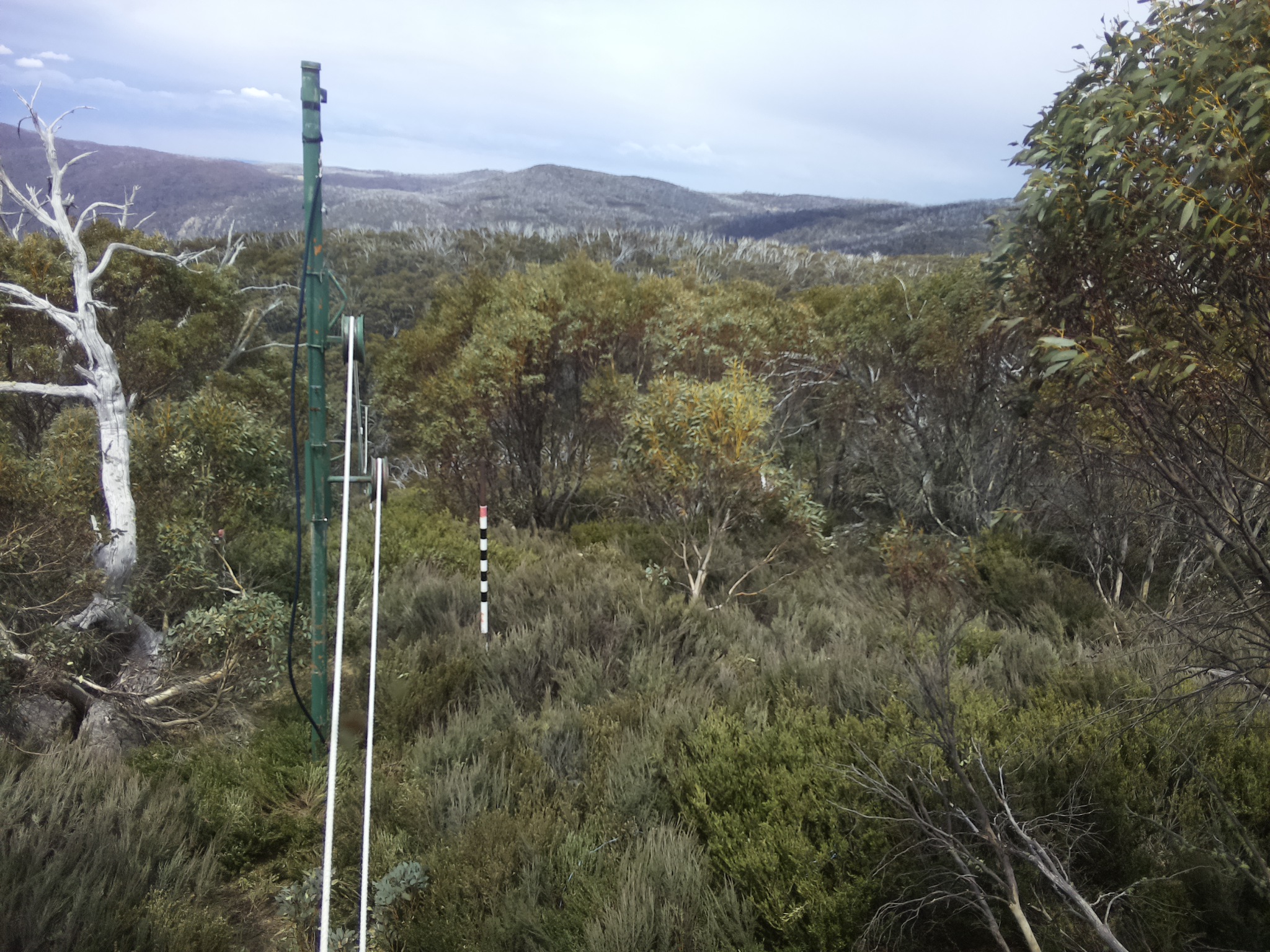 Bogong Web Cam 1:00pm Monday 20th of October 2025