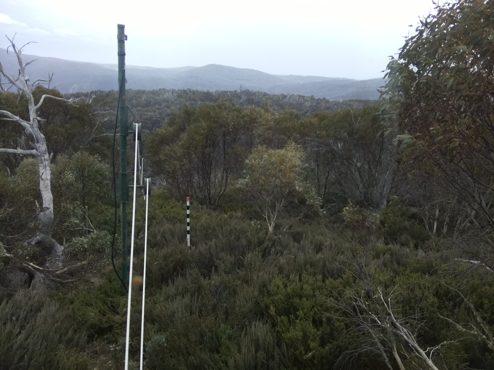 Bogong Web Cam 1:10pm Monday 20th of October 2025