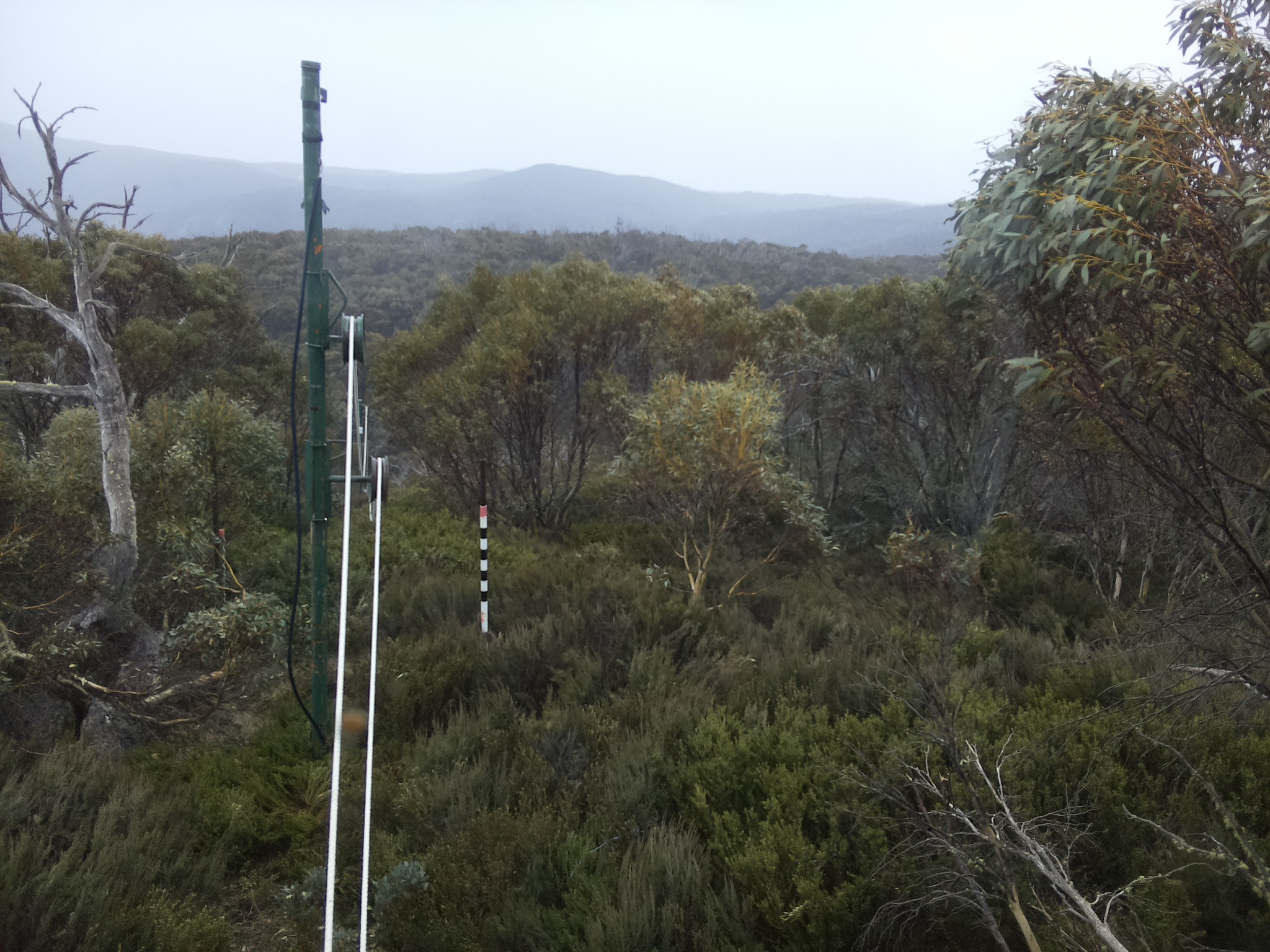 Bogong Web Cam 1:20pm Monday 20th of October 2025