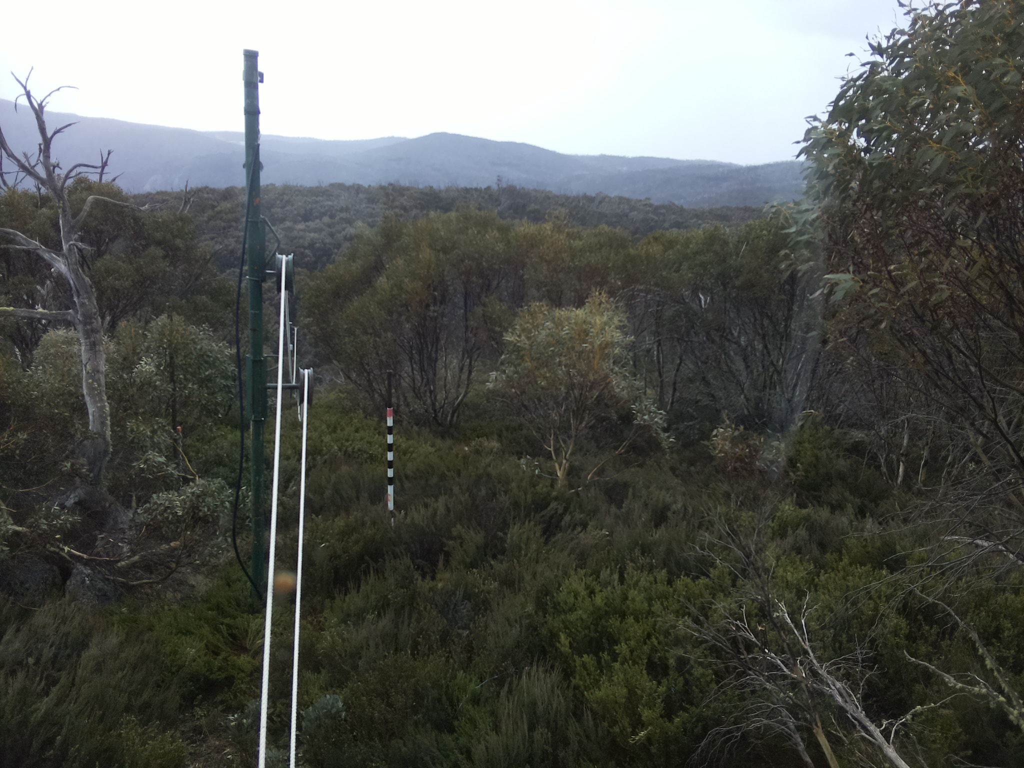 Bogong Web Cam 1:30pm Monday 20th of October 2025