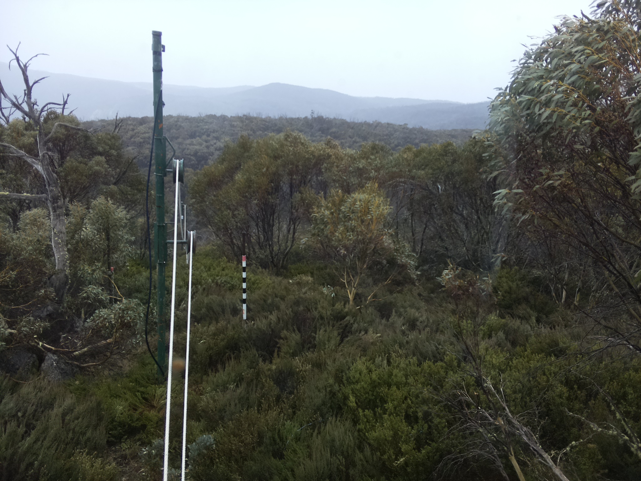 Bogong Web Cam 1:40pm Monday 20th of October 2025