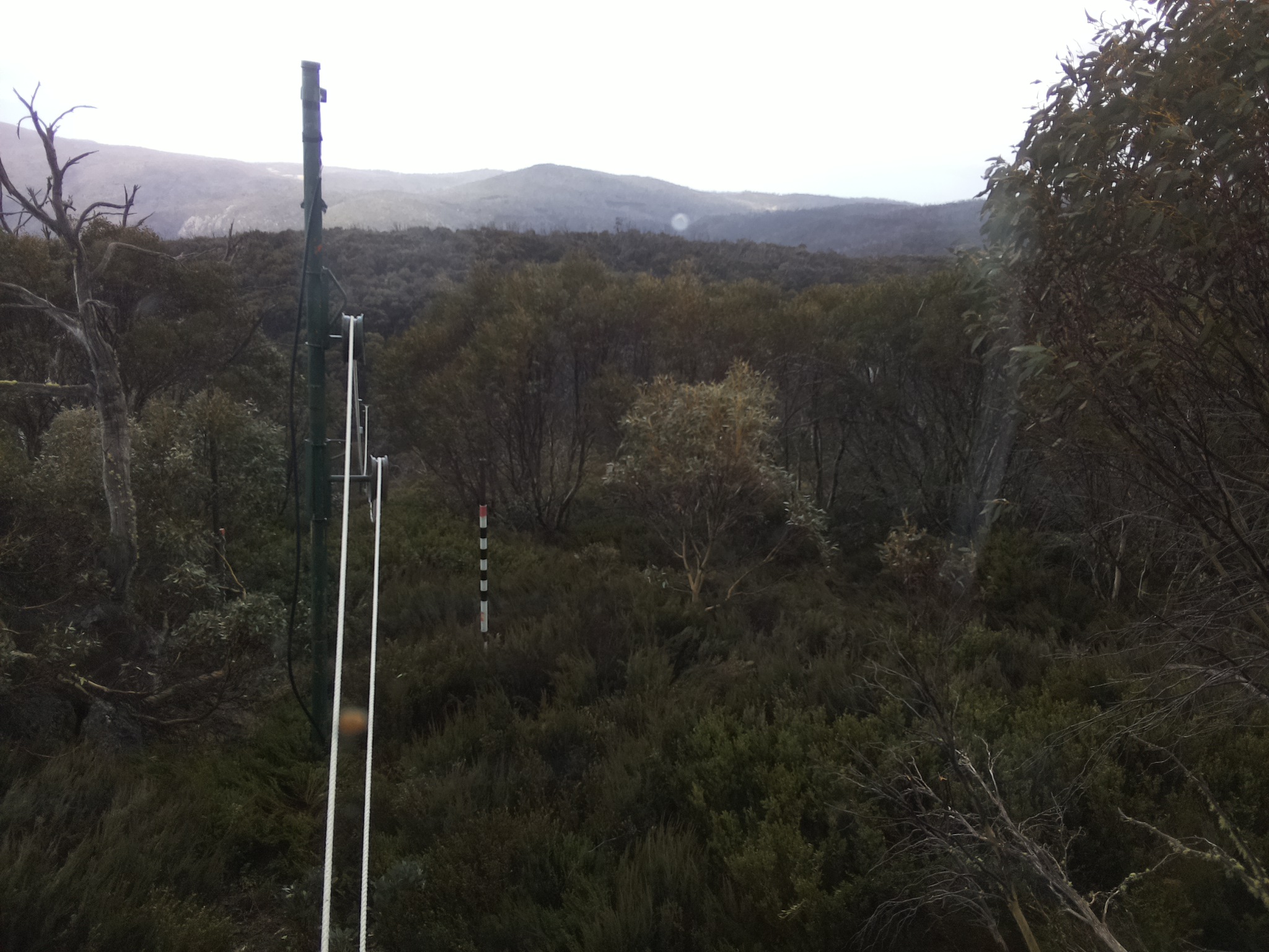 Bogong Web Cam 1:50pm Monday 20th of October 2025