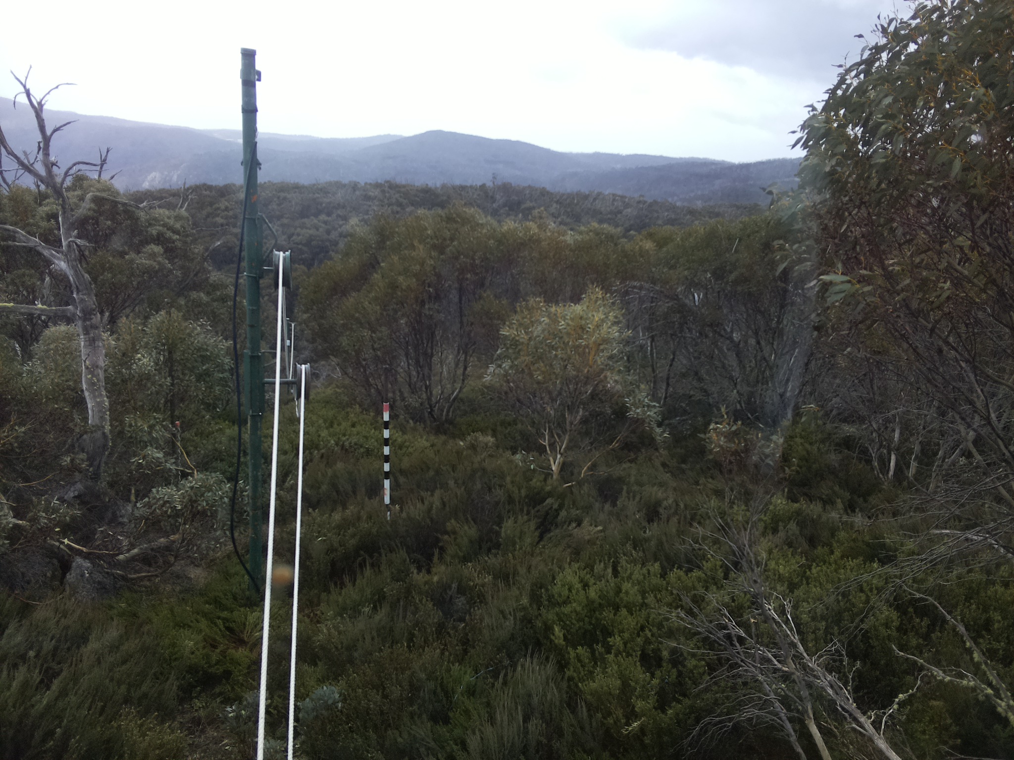 Bogong Web Cam 2:20pm Monday 20th of October 2025