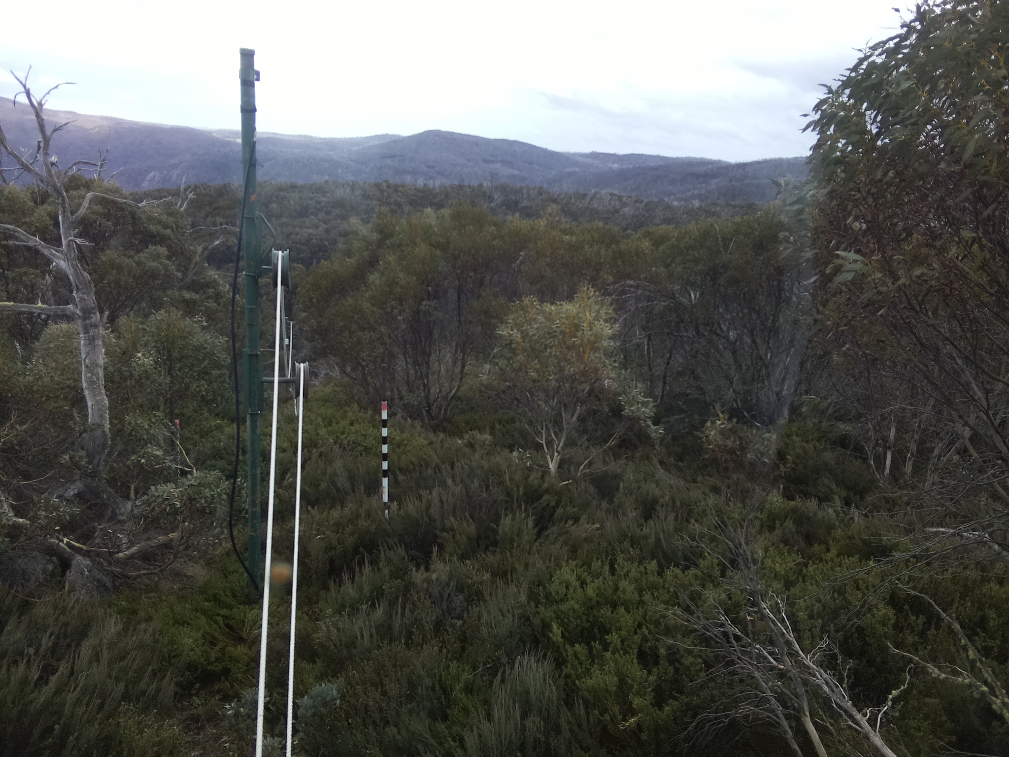 Bogong Web Cam 2:50pm Monday 20th of October 2025