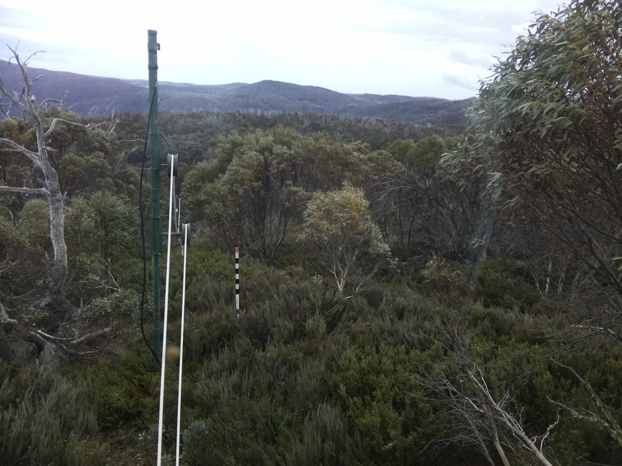 Bogong Web Cam 3:10pm Monday 20th of October 2025