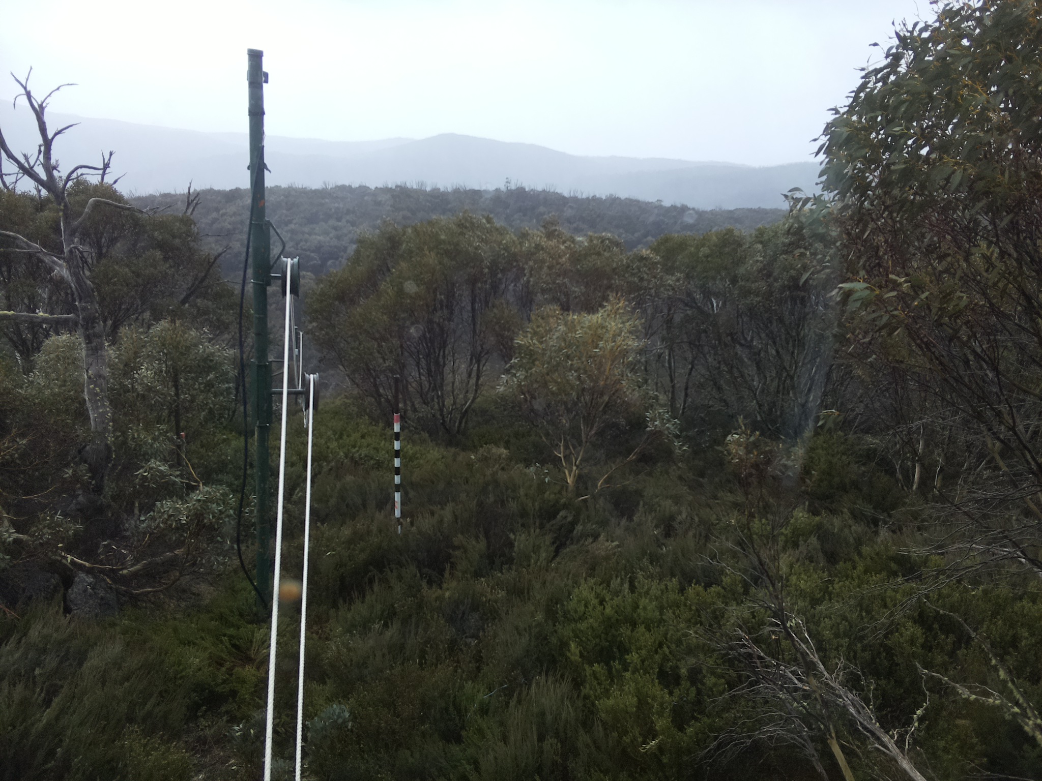 Bogong Web Cam 4:00pm Monday 20th of October 2025