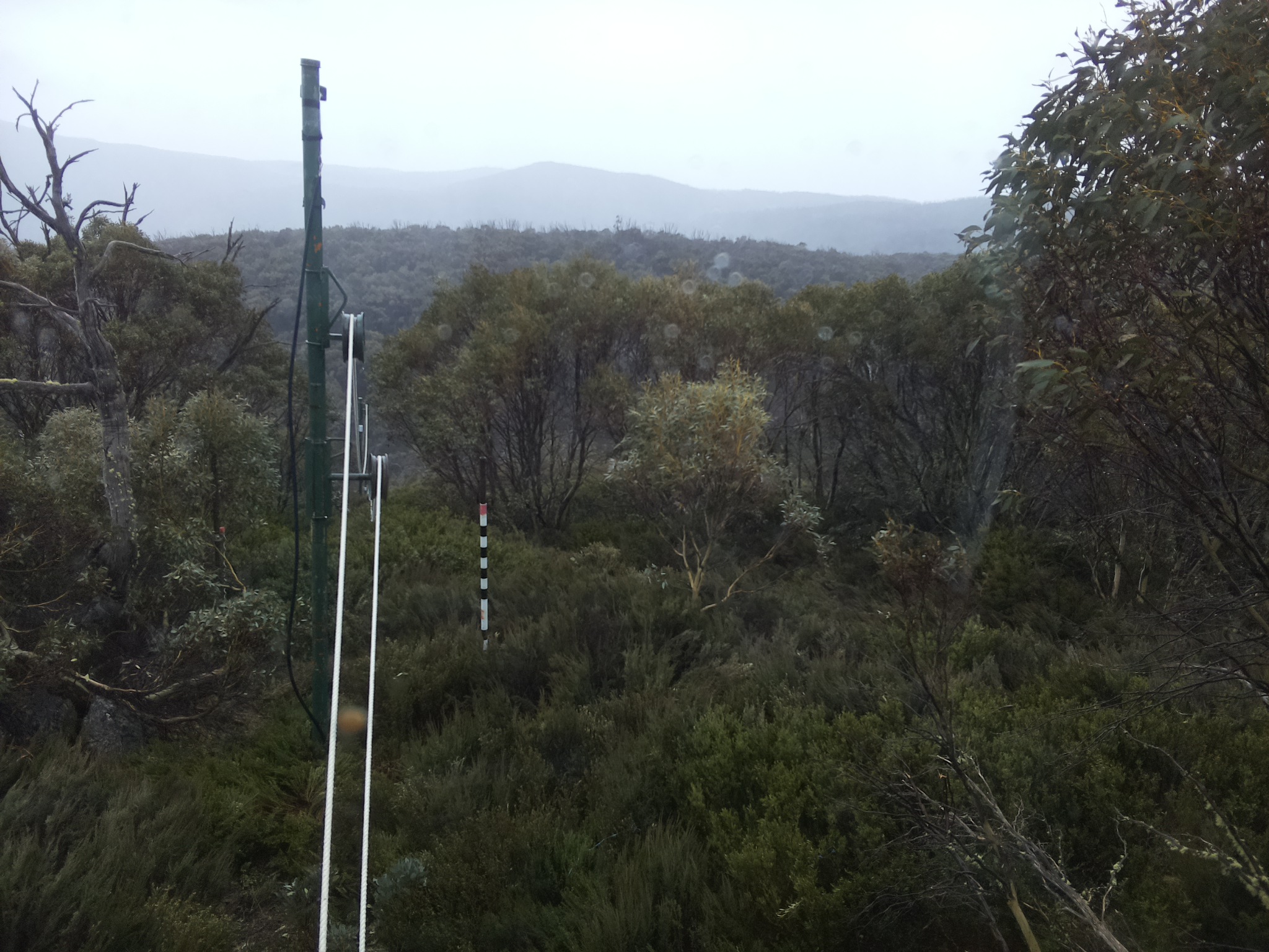 Bogong Web Cam 4:10pm Monday 20th of October 2025