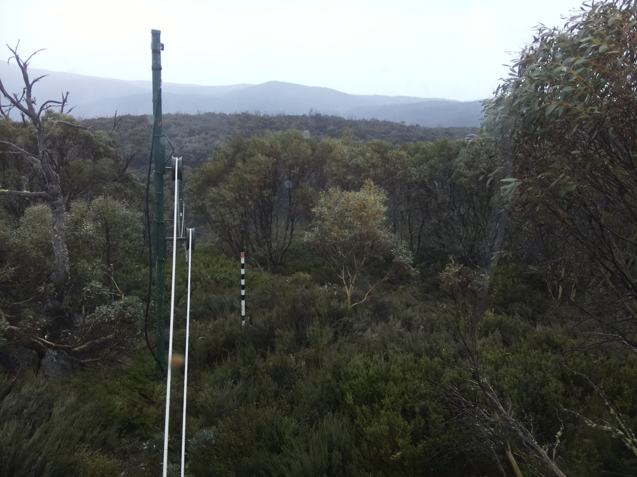 Bogong Web Cam 4:20pm Monday 20th of October 2025