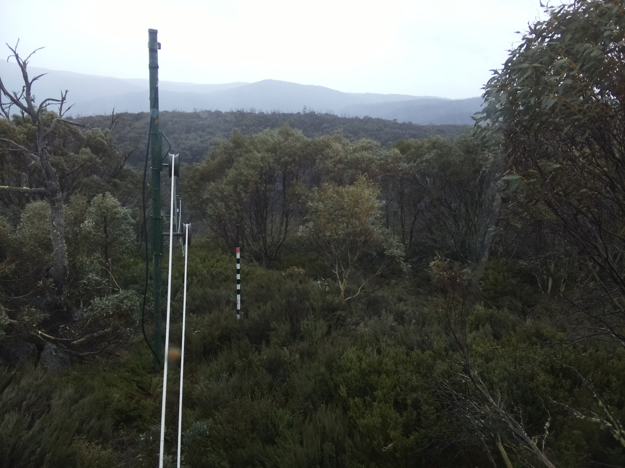 Bogong Web Cam 4:30pm Monday 20th of October 2025