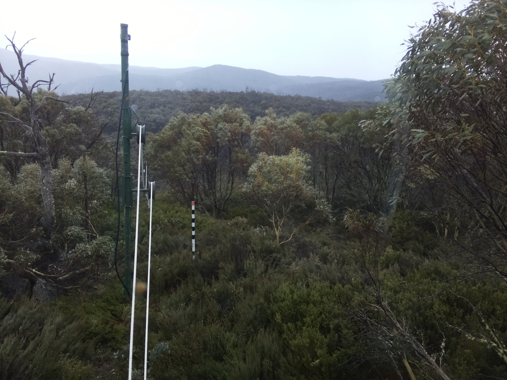 Bogong Web Cam 4:40pm Monday 20th of October 2025