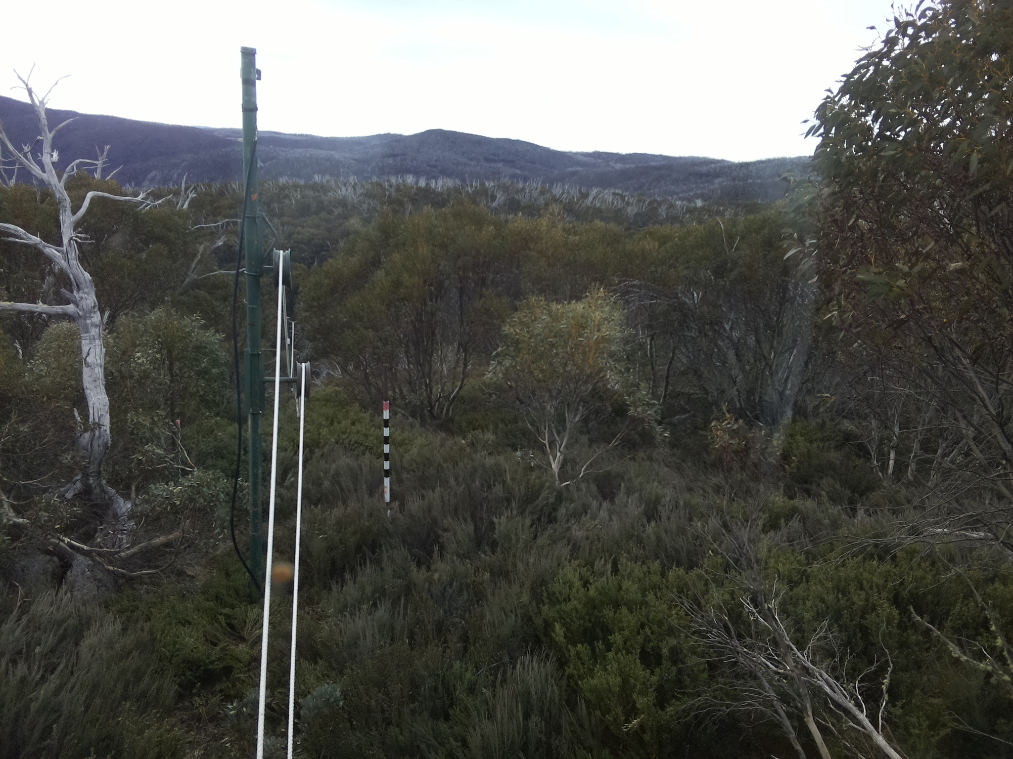 Bogong Web Cam 8:10am Tuesday 21st of October 2025