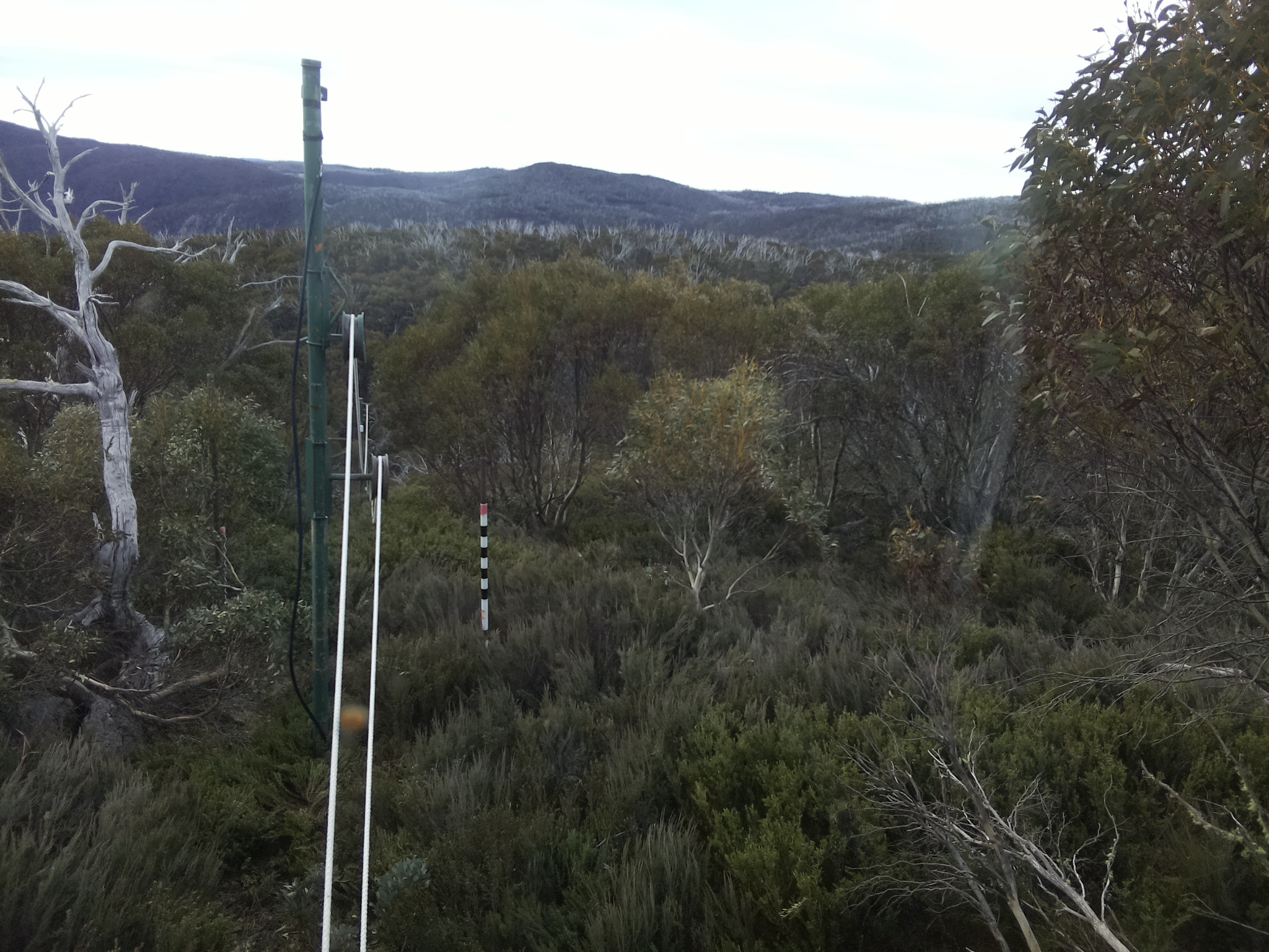 Bogong Web Cam 8:20am Tuesday 21st of October 2025