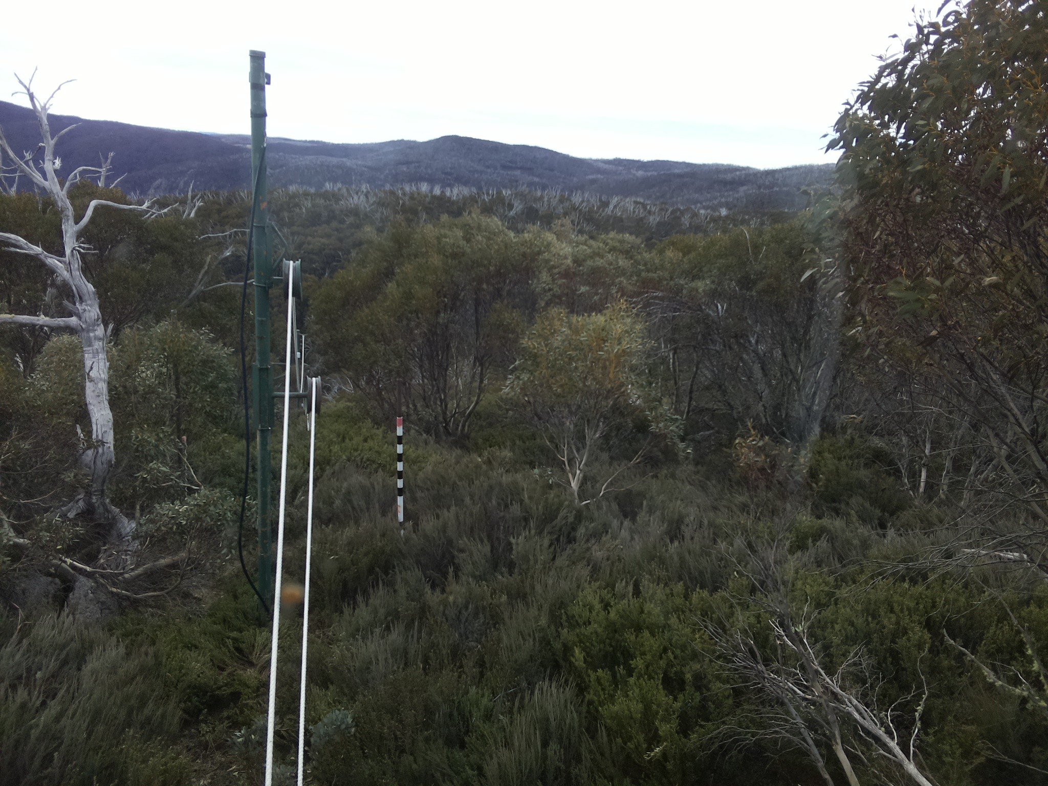 Bogong Web Cam 8:50am Tuesday 21st of October 2025