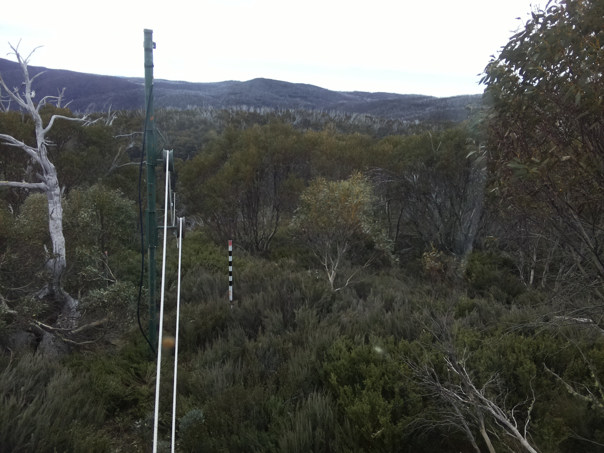 Bogong Web Cam 9:00am Tuesday 21st of October 2025