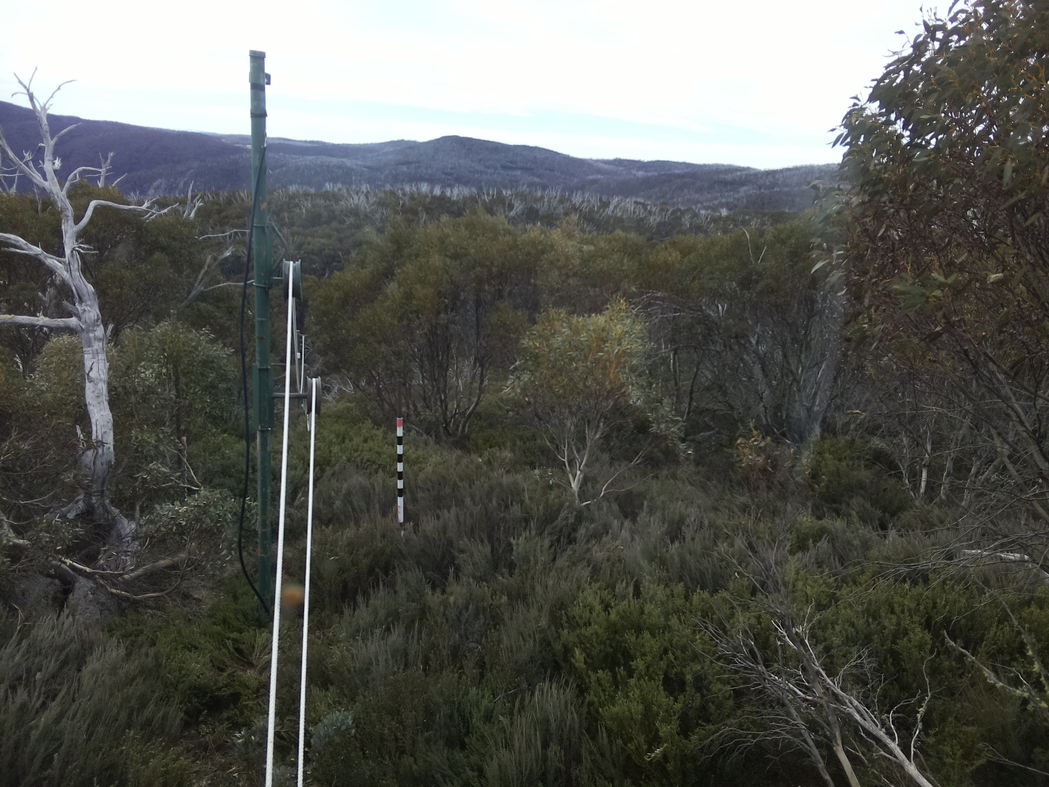 Bogong Web Cam 9:20am Tuesday 21st of October 2025