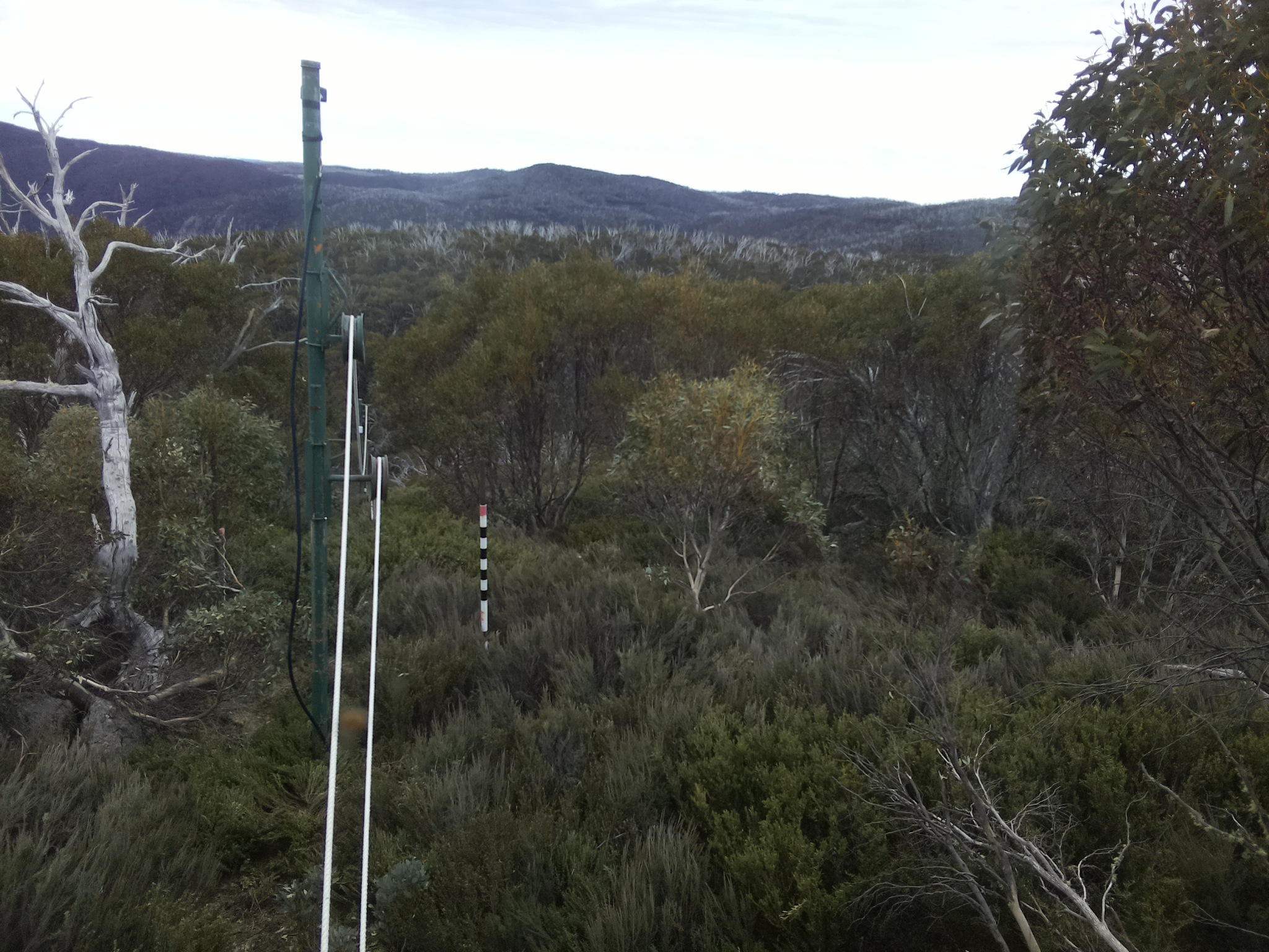 Bogong Web Cam 10:00am Tuesday 21st of October 2025