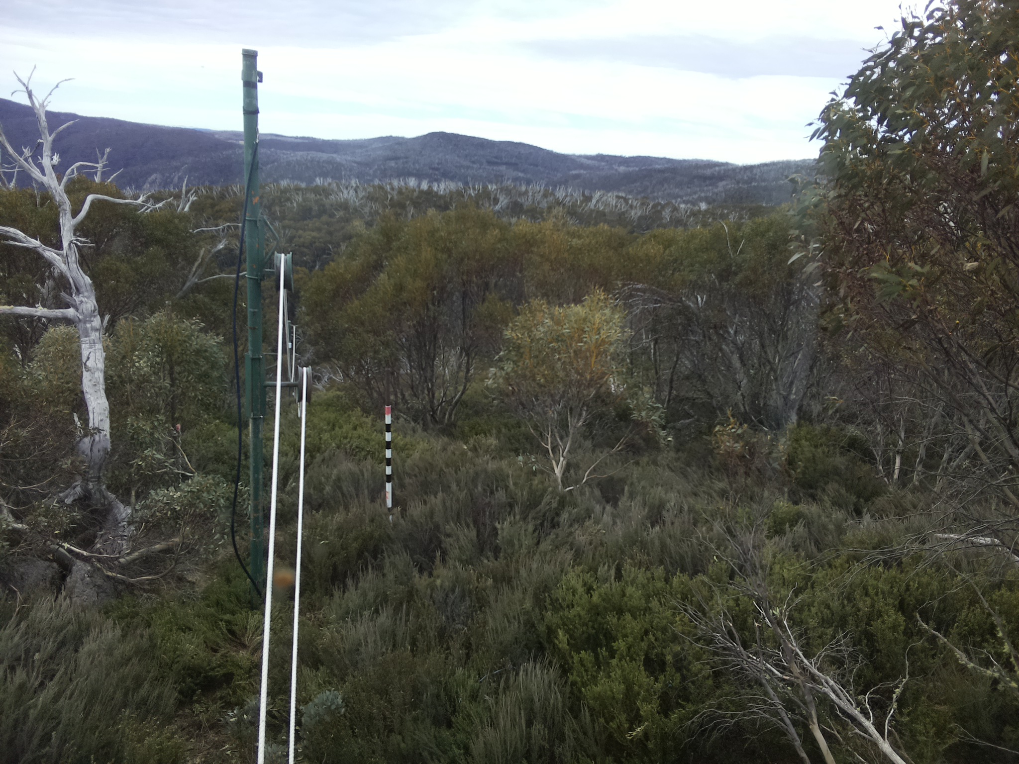 Bogong Web Cam 10:10am Tuesday 21st of October 2025