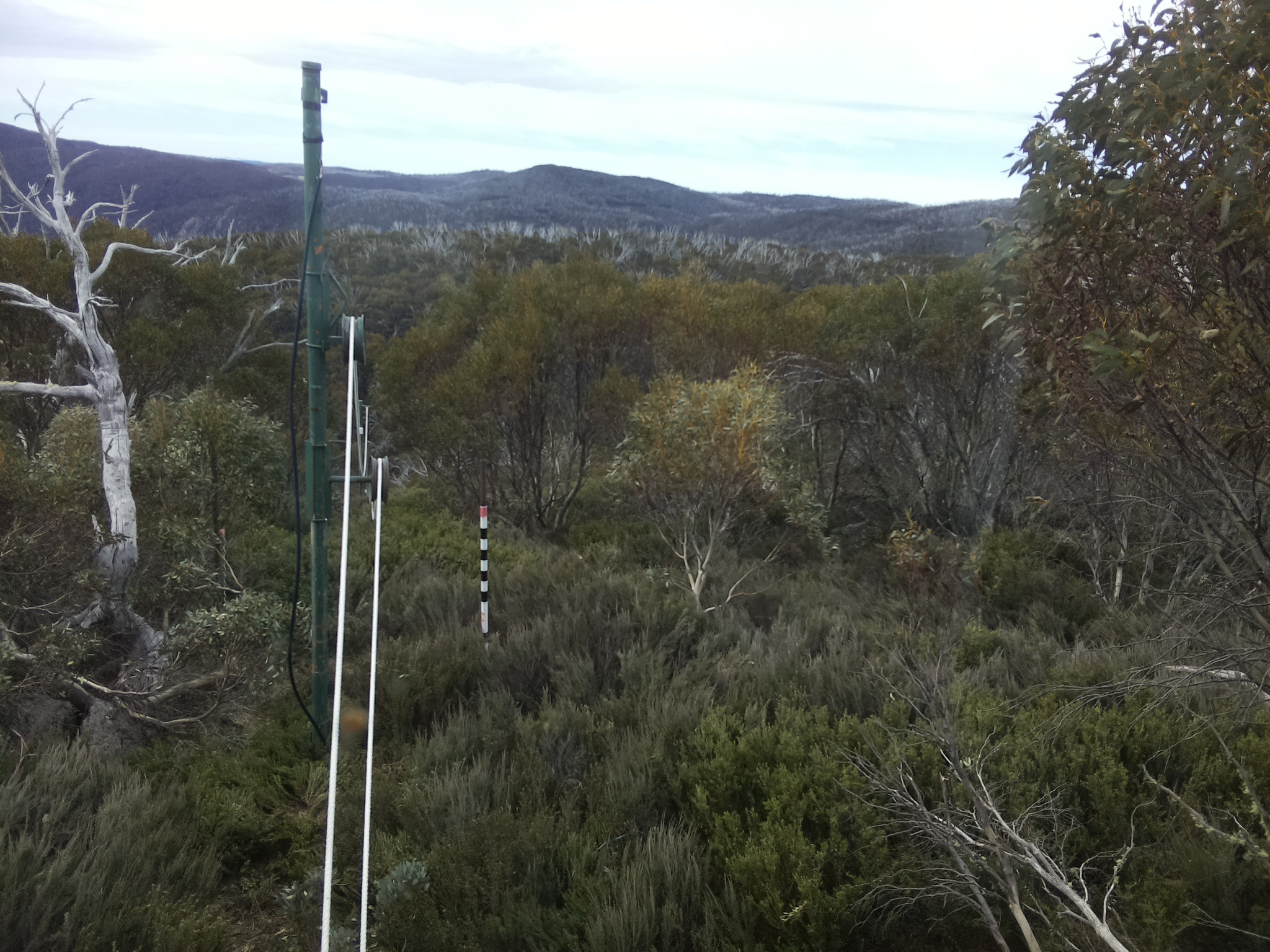 Bogong Web Cam 10:20am Tuesday 21st of October 2025